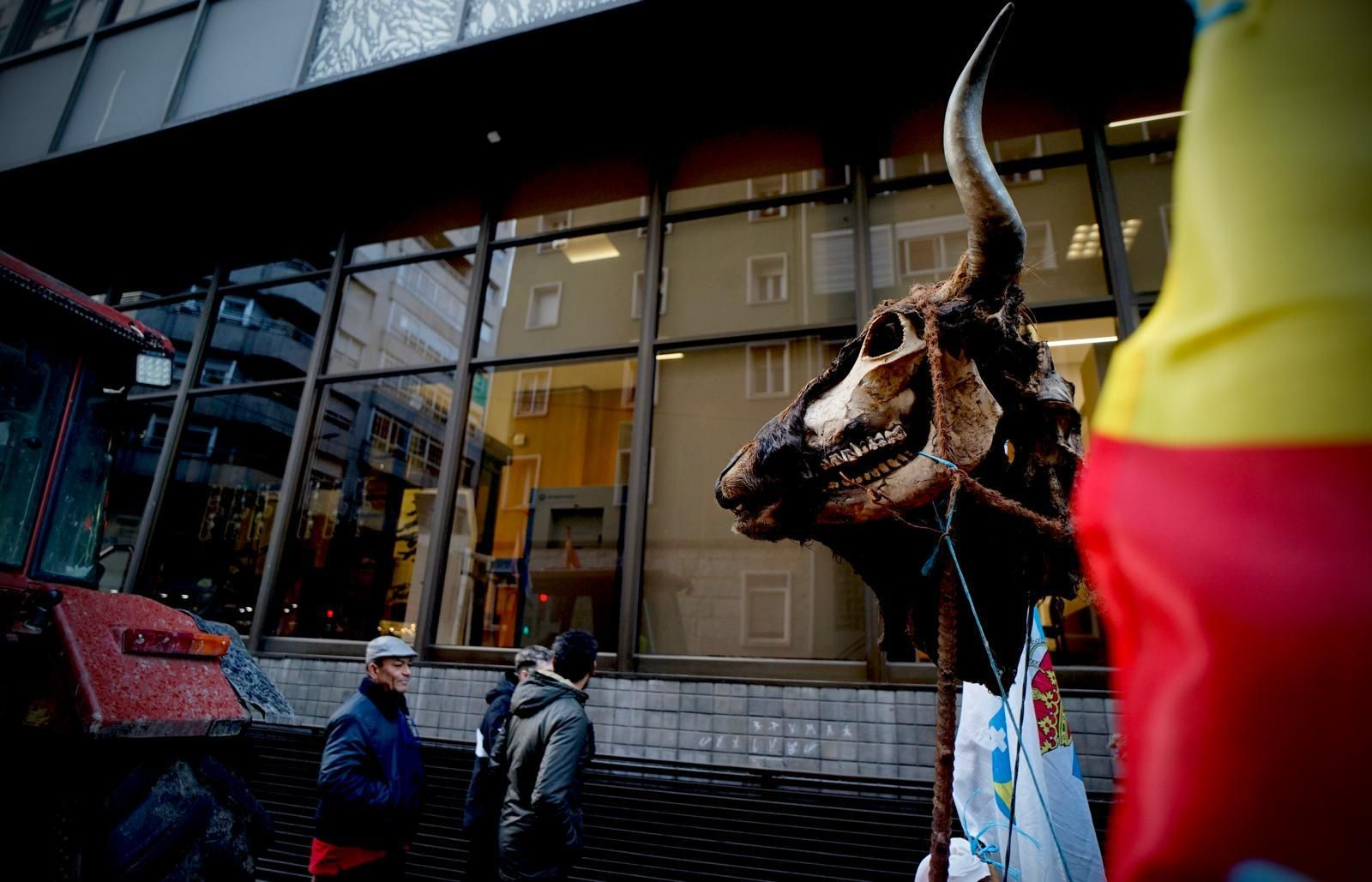 WhatsApp Image 2026 01 09 at 18.00.09 (1)