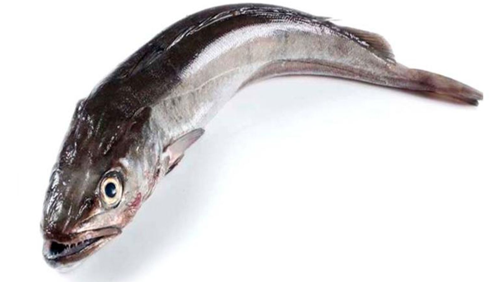 merluza-de-pincho-entera-pescaderias-los-alonso