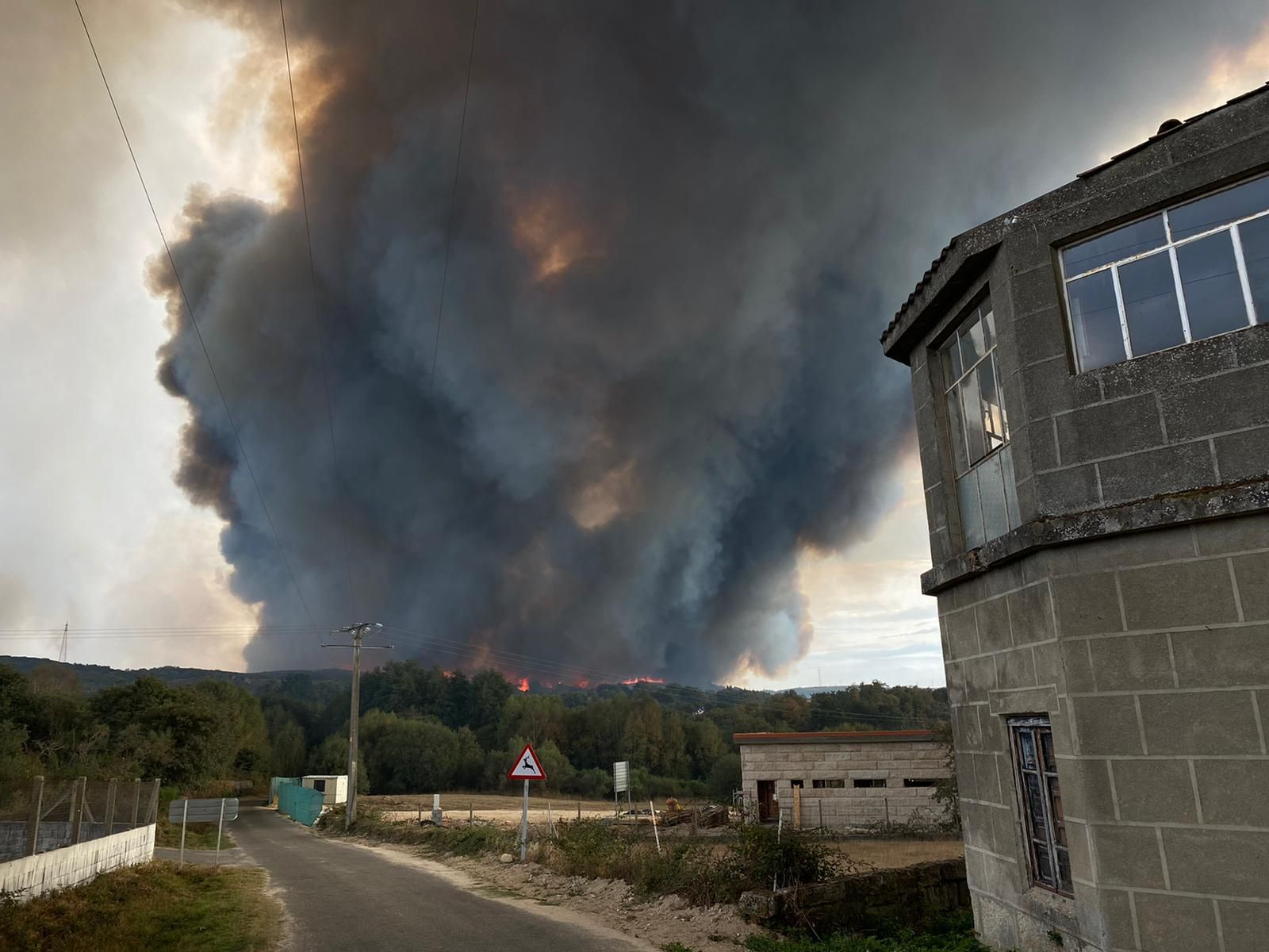 Cualedro (Foto: Alberte)