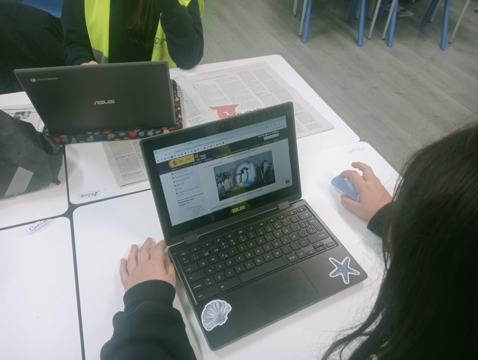 Los Ecovigilantes apadrinan pingüinos en la Antártida