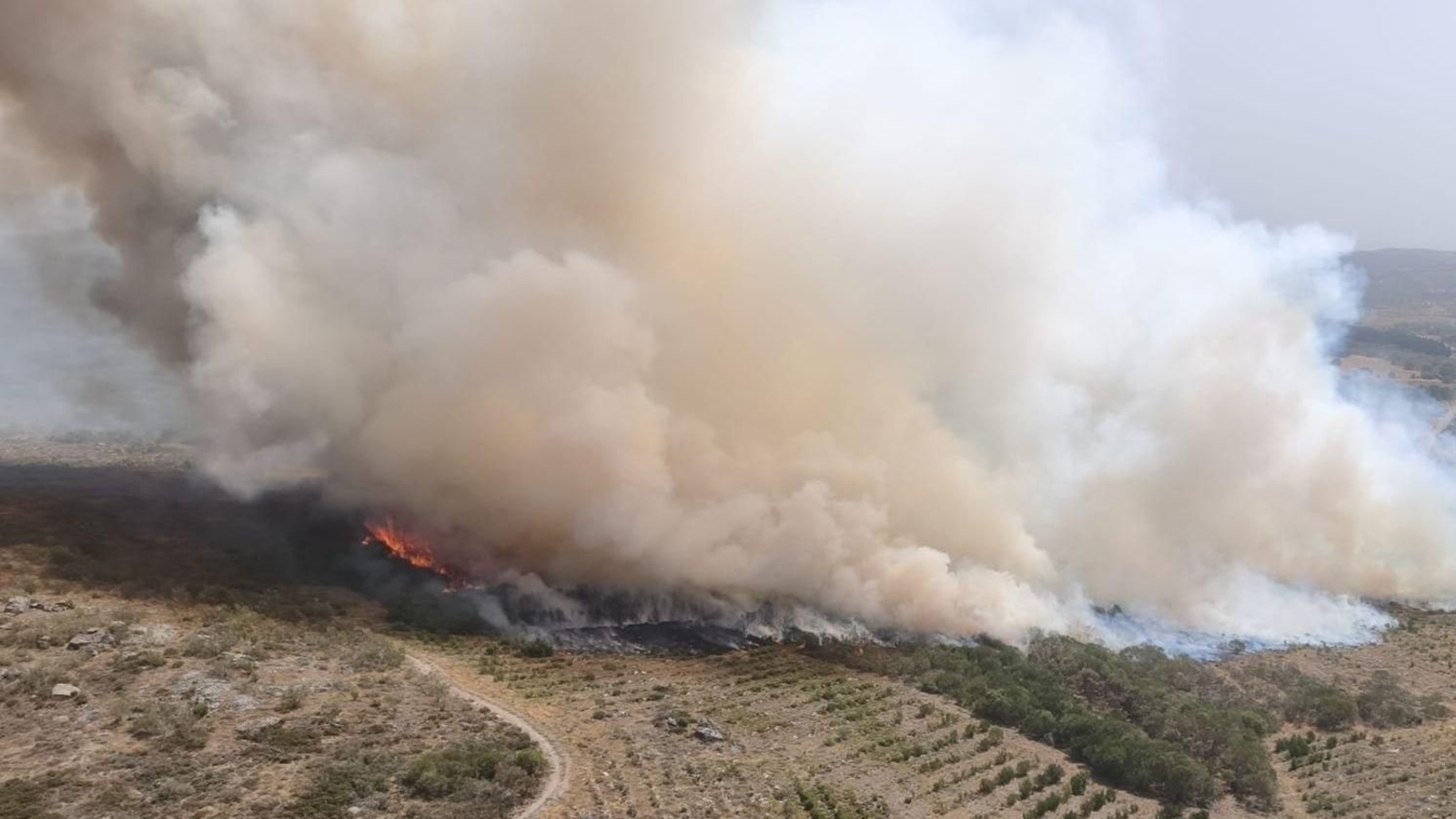 El incendio forsetal desatado este sábado en Baltar