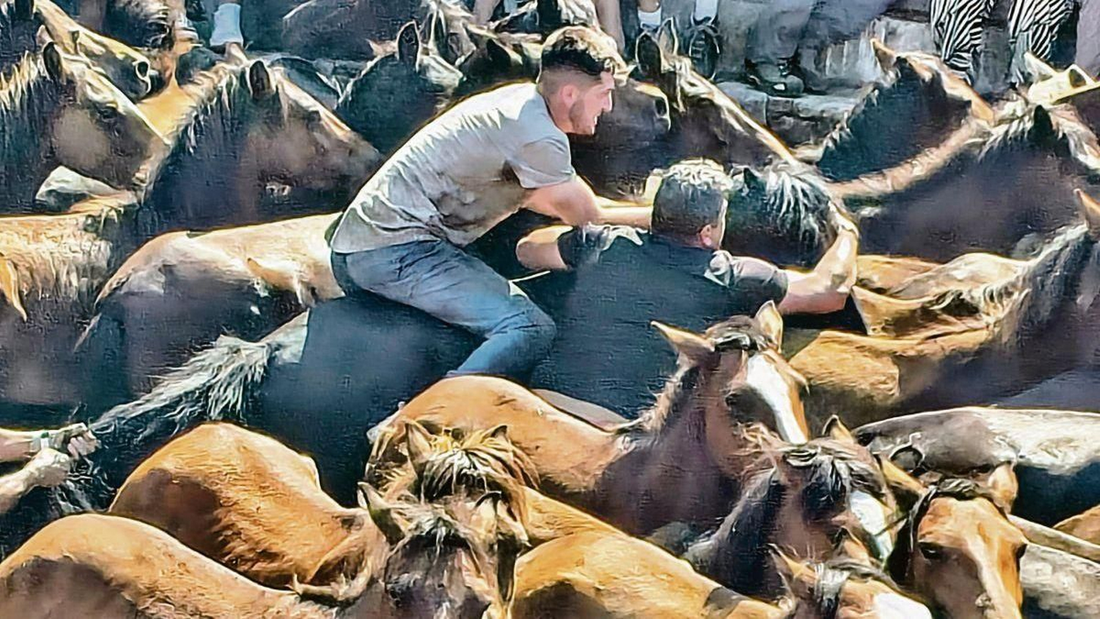 Titánica Rapa das Bestas de Sabucedo con 40 aloitadores