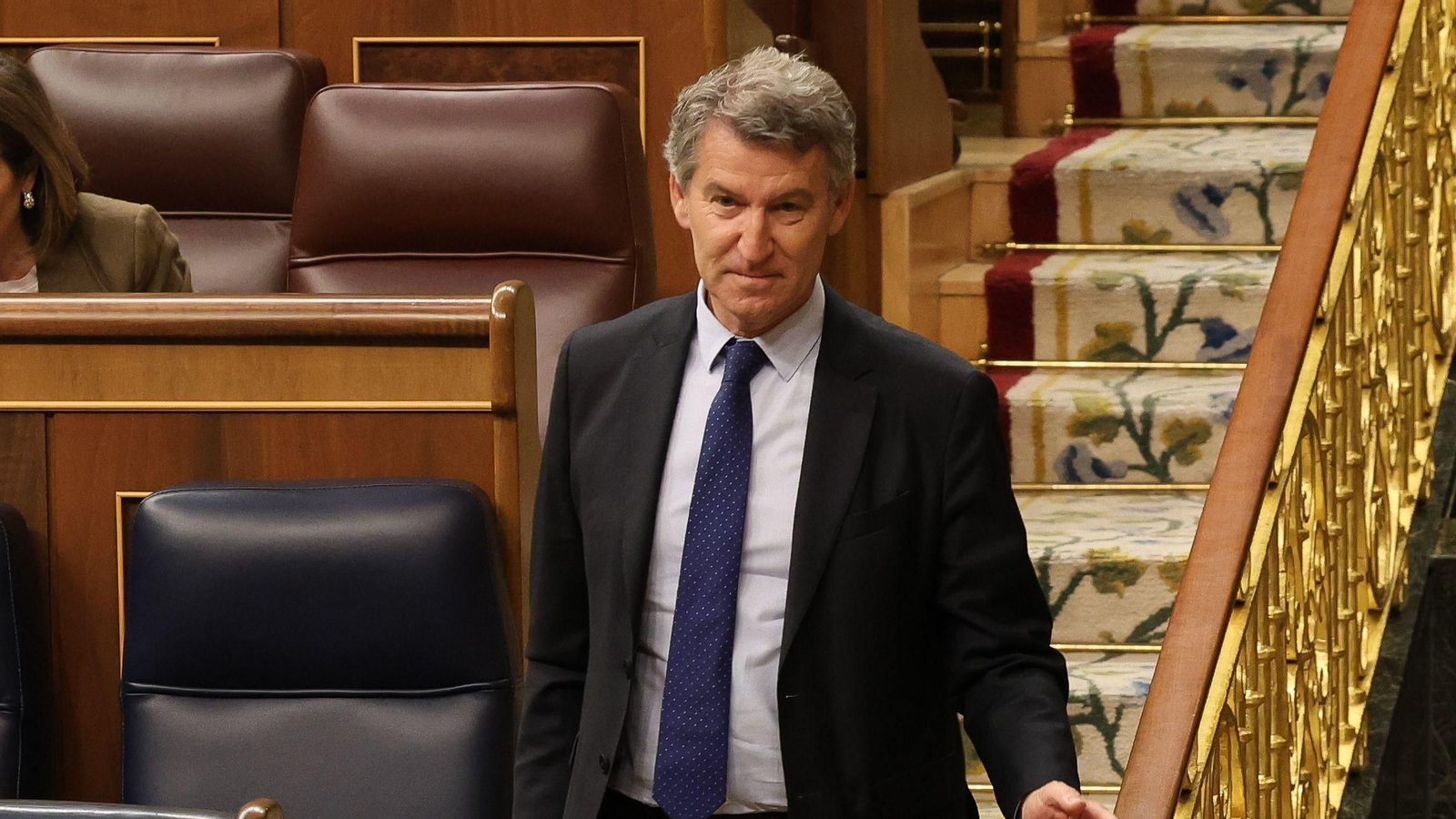 El presidente del PP, Alberto Núñez Feijóo