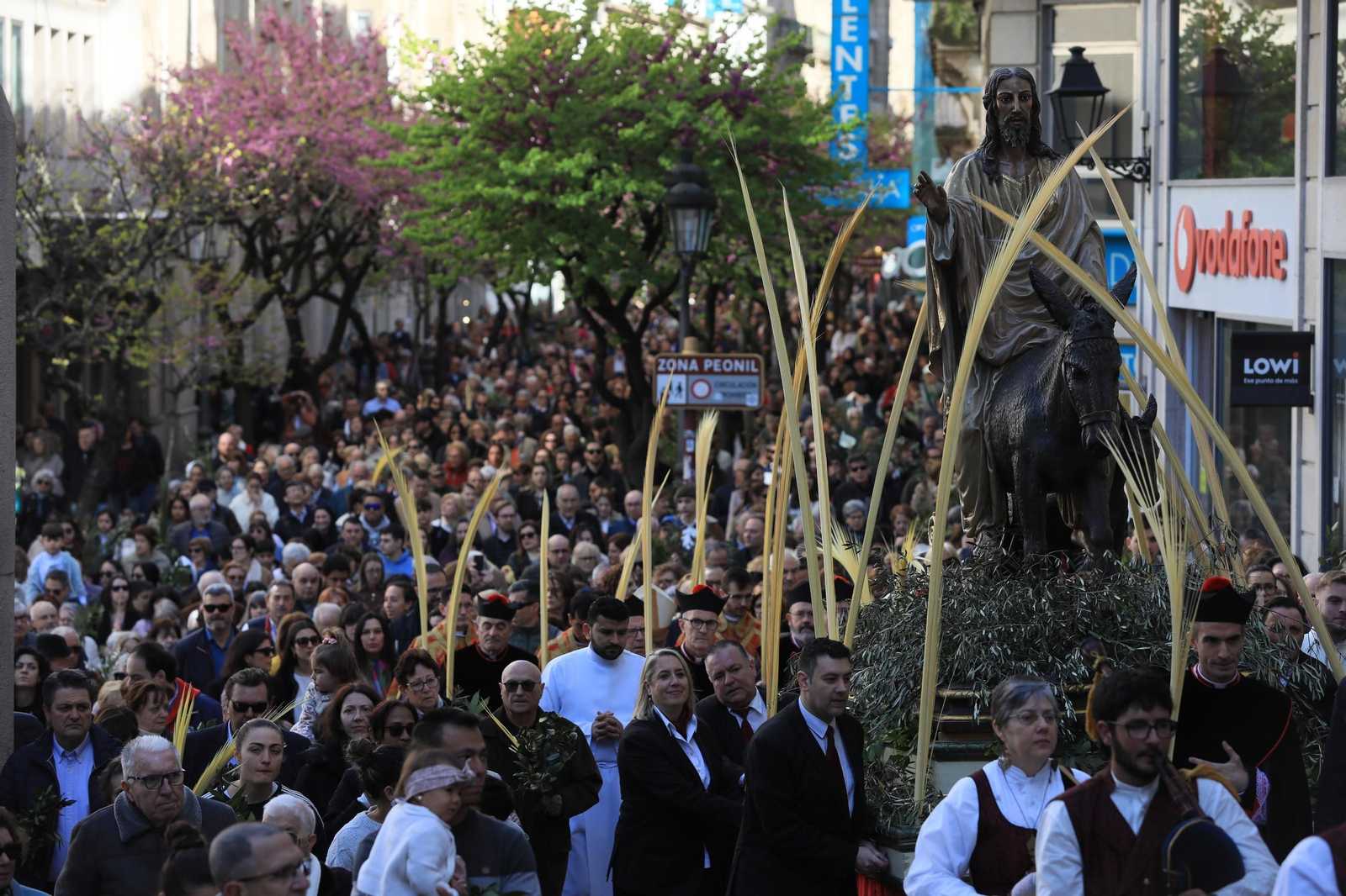Galería | La procesión de la Borriquita marca el Domingo de Ramos en Ourense