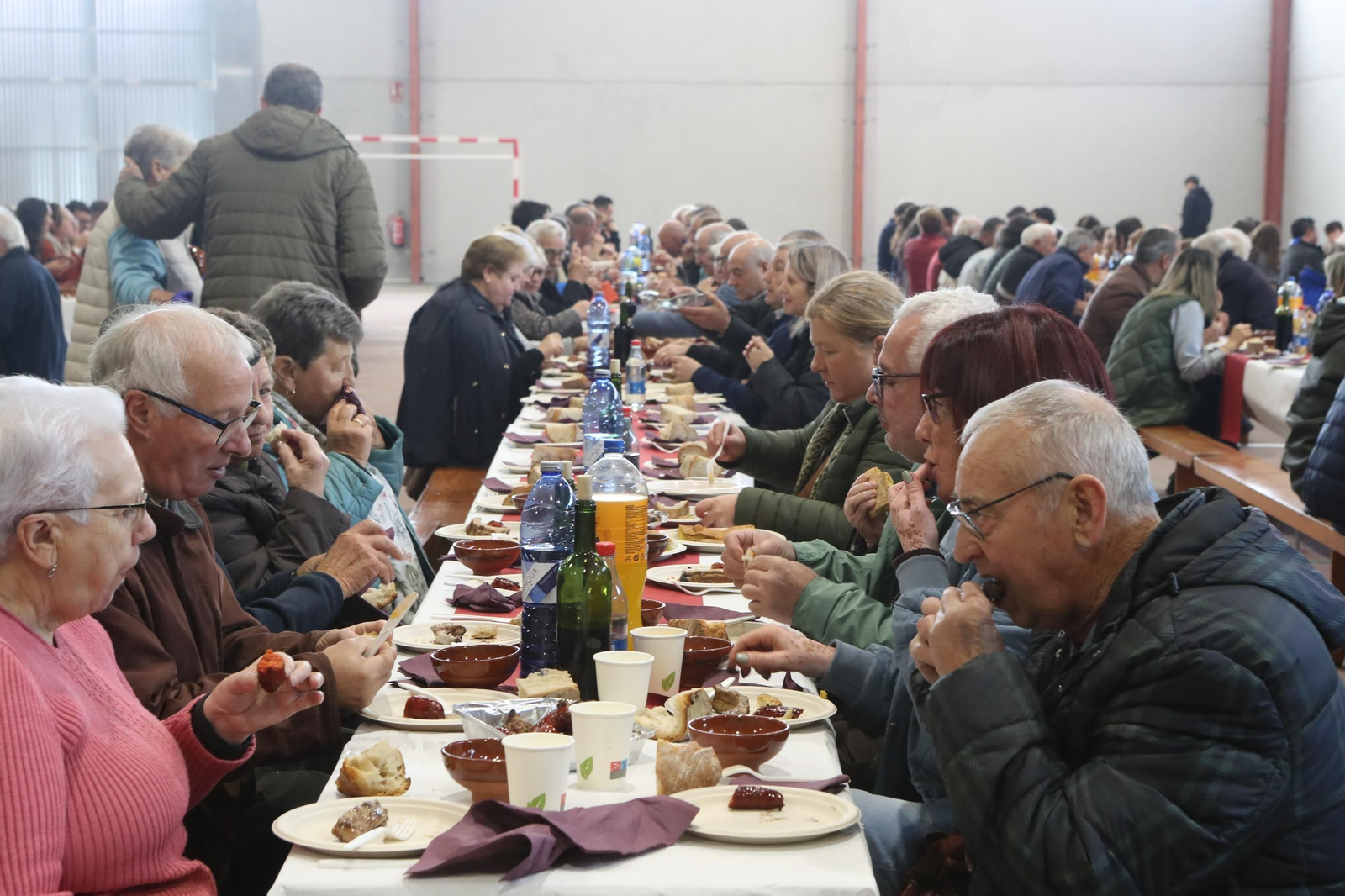 Galería | Los magostos llenan de humo, castañas y grandes momentos Ourense
