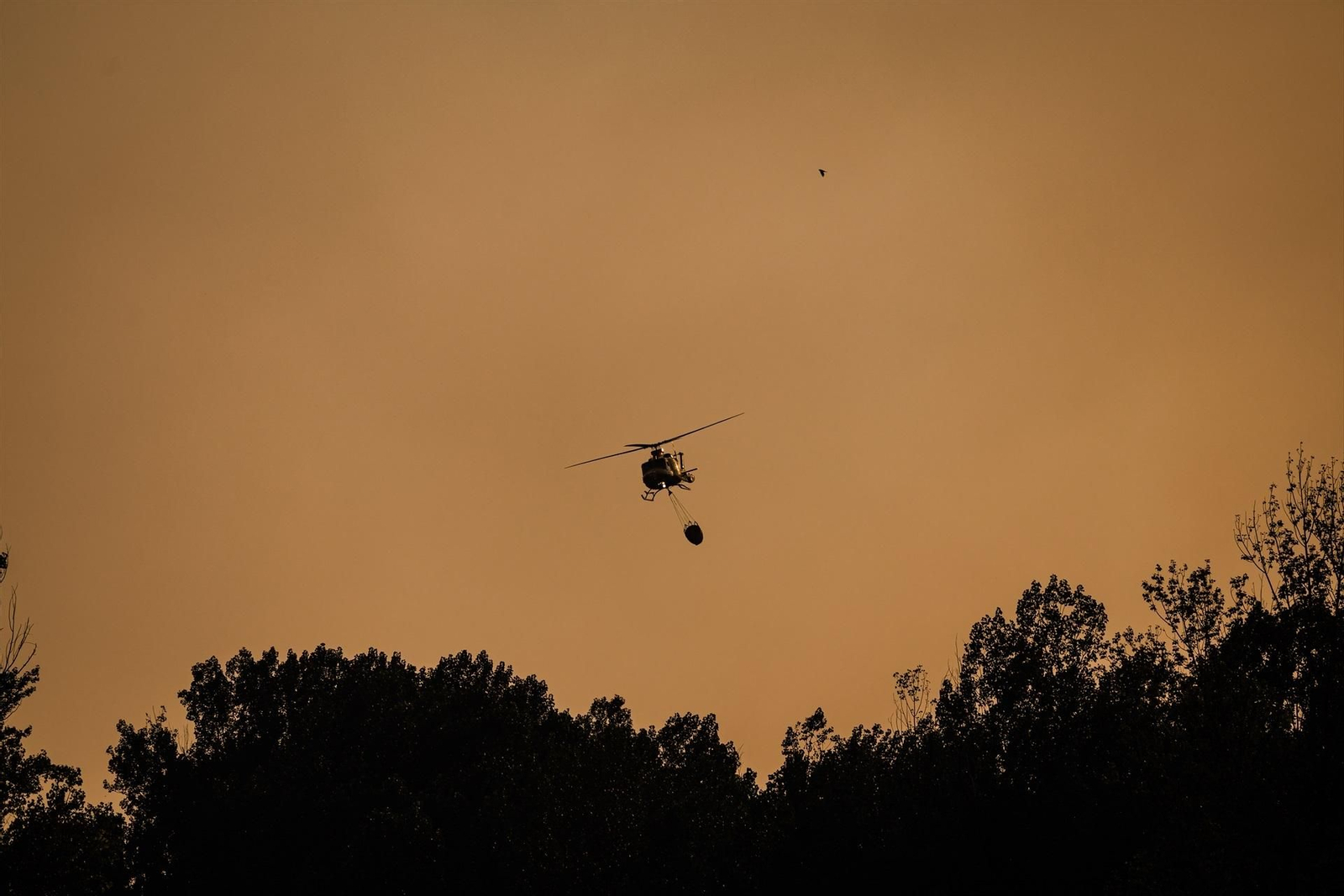 Galería | El incendio forestal de Burgohondo en Ávila se mantiene sin ser controlado, en fotos