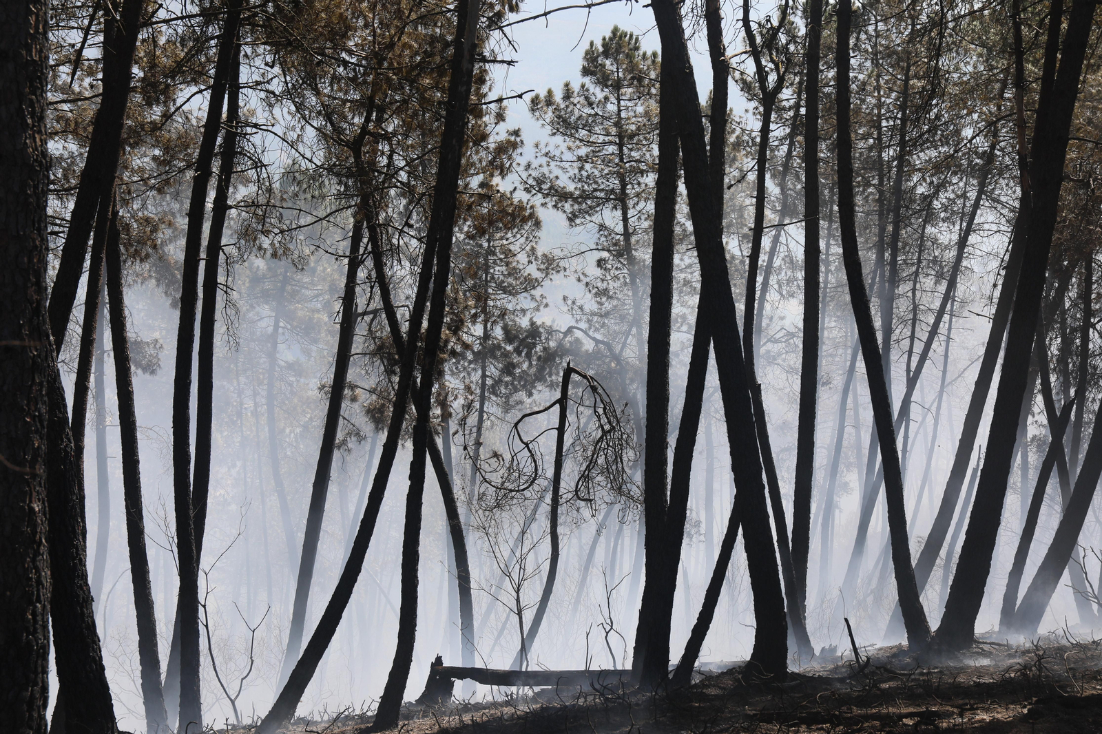 Incendio en Vilar de Barrio