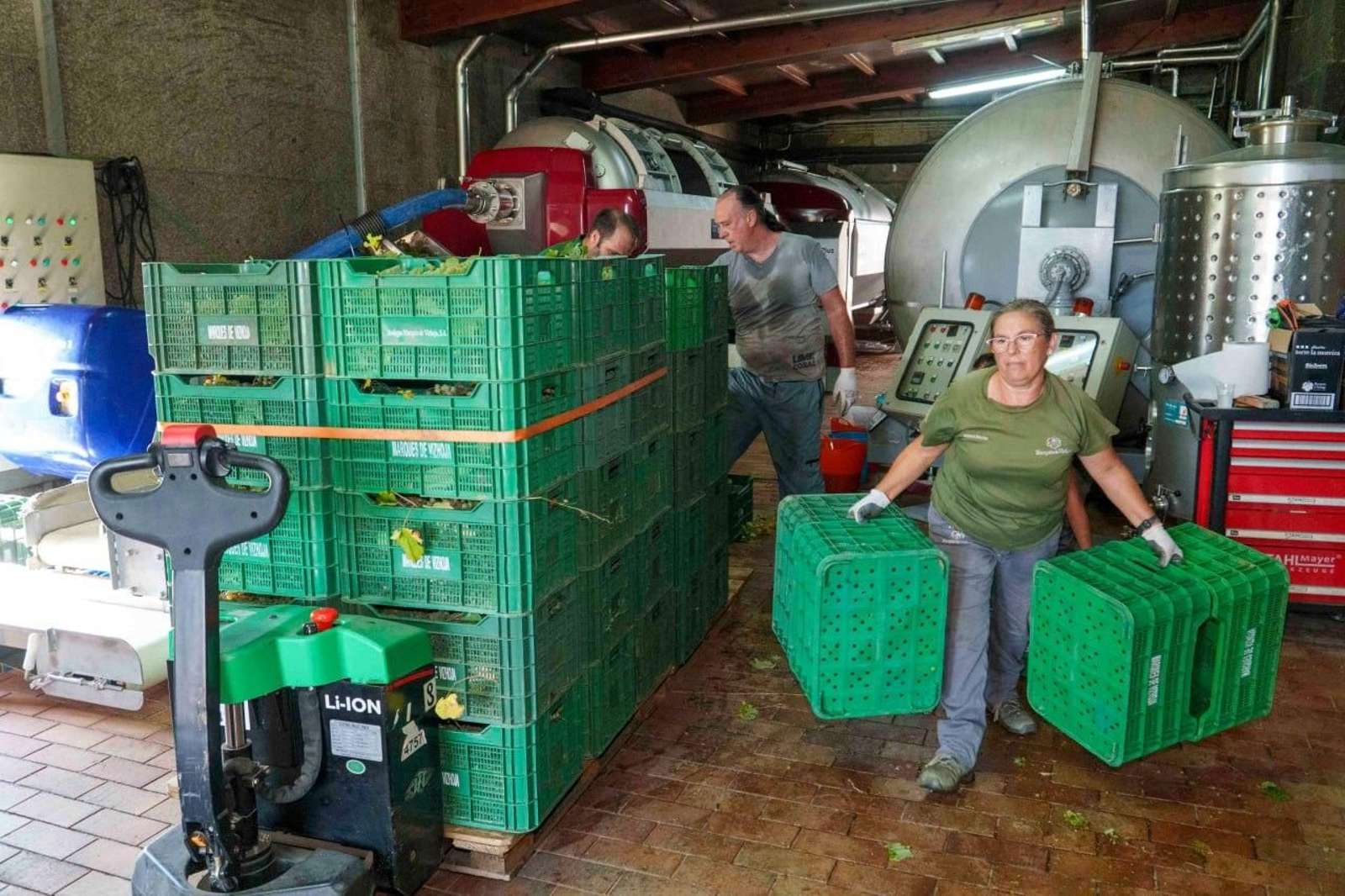Galería | El calor adelanta la vendimia en las Rías Baixas