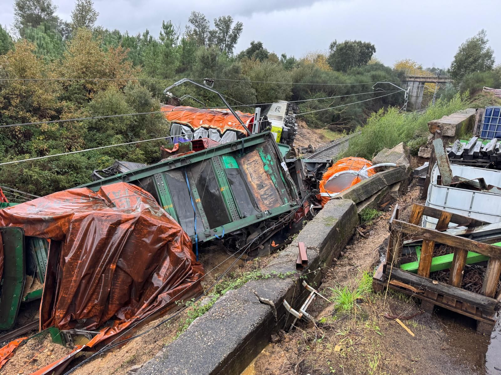 Galería | Descarrilamiento de un tren de mercancías en As Neves