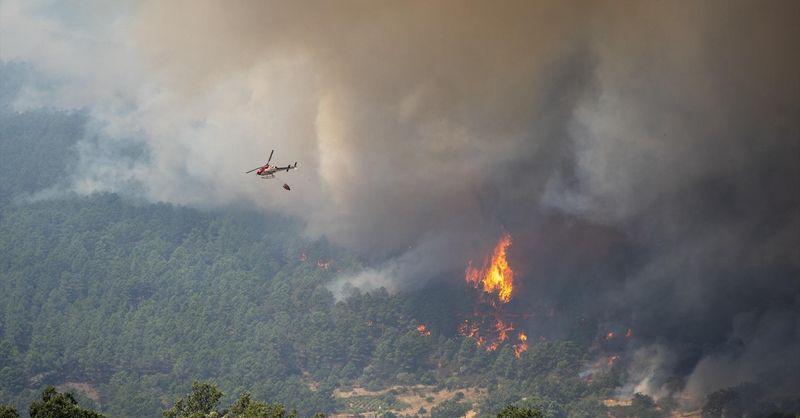 La OMS advierte de los riesgos del humo de los incendios