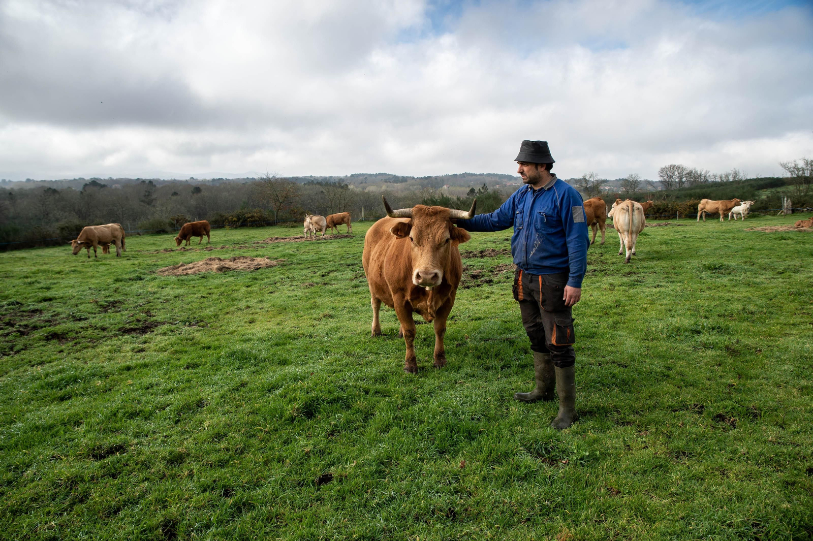 Pereiro de Aguiar, Reboredo. FOTO: ÓSCAR PINAL
