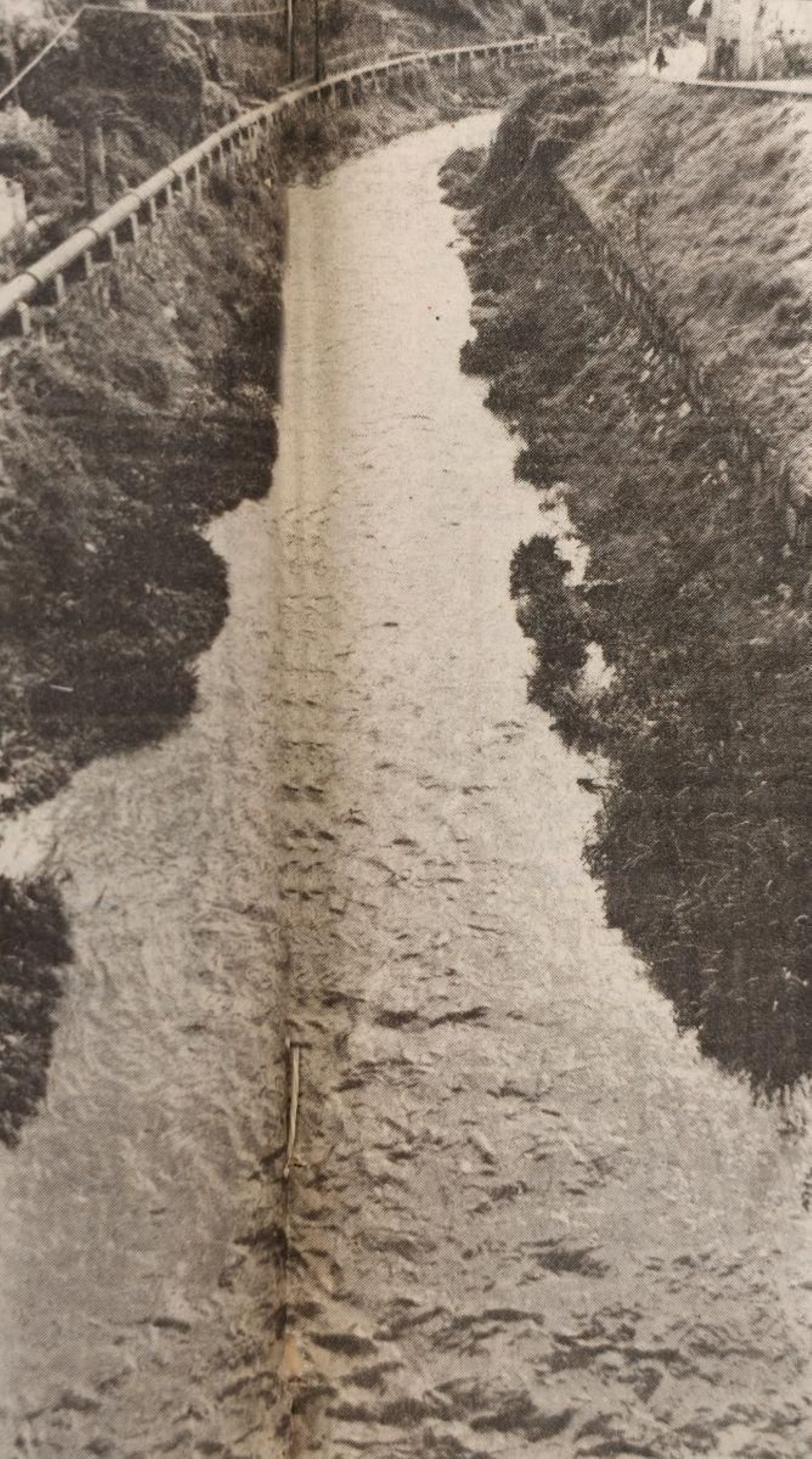 El río Barbaña crecido a su paso por Orense.