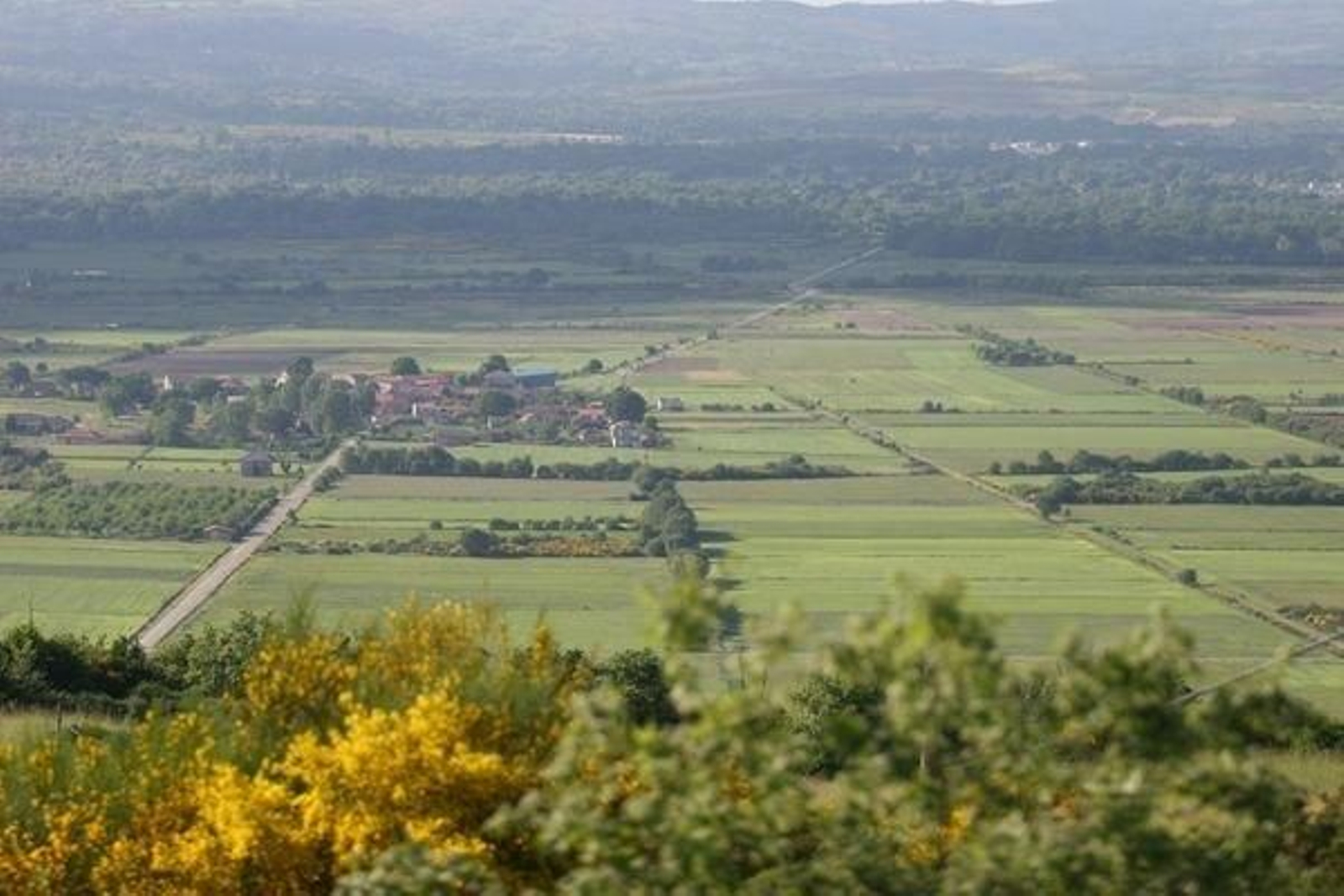 Terrenos de A Limia, la comarca líder en el uso del Banco de Terras.