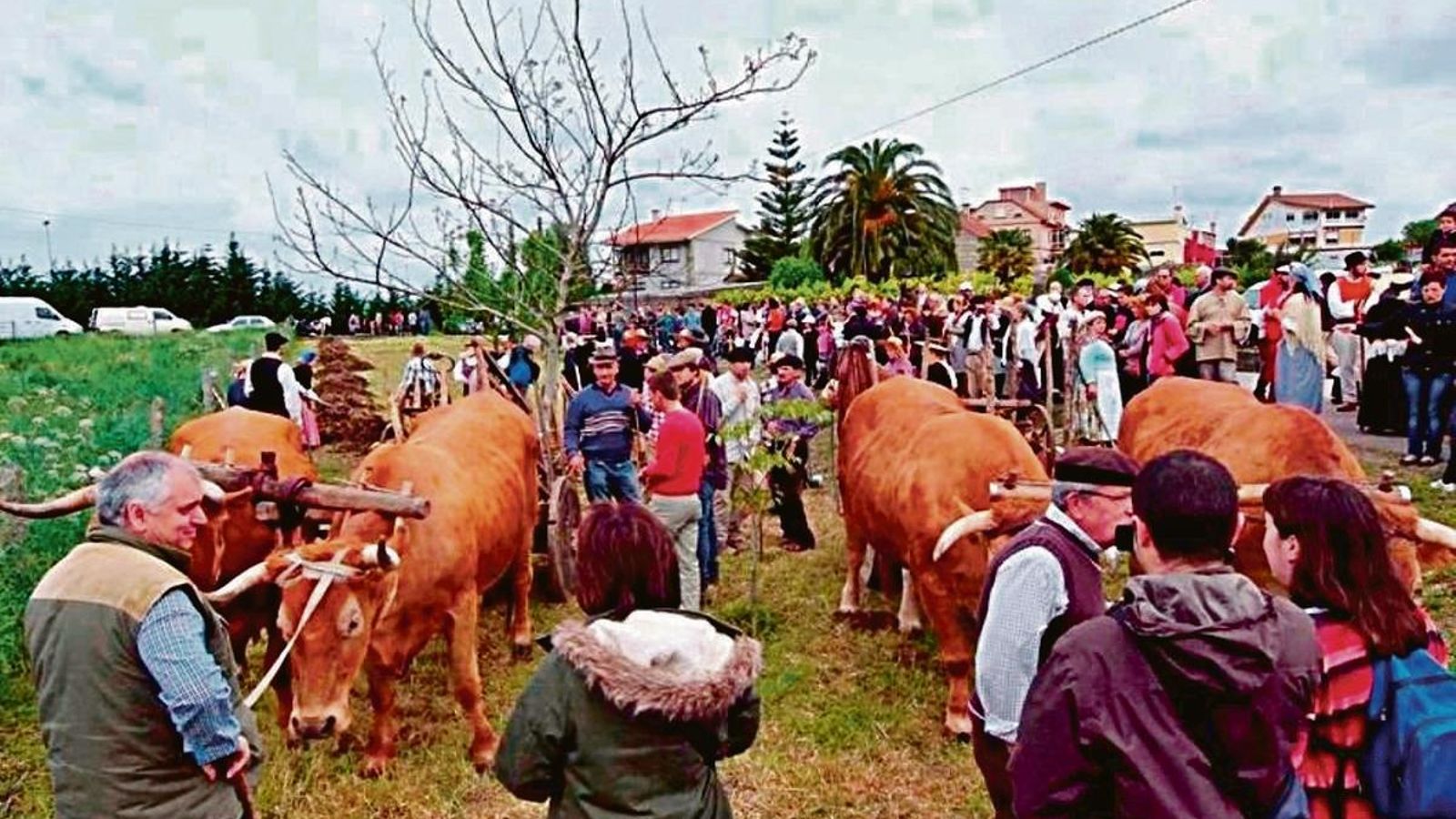 A Sementeira, en Matamá.