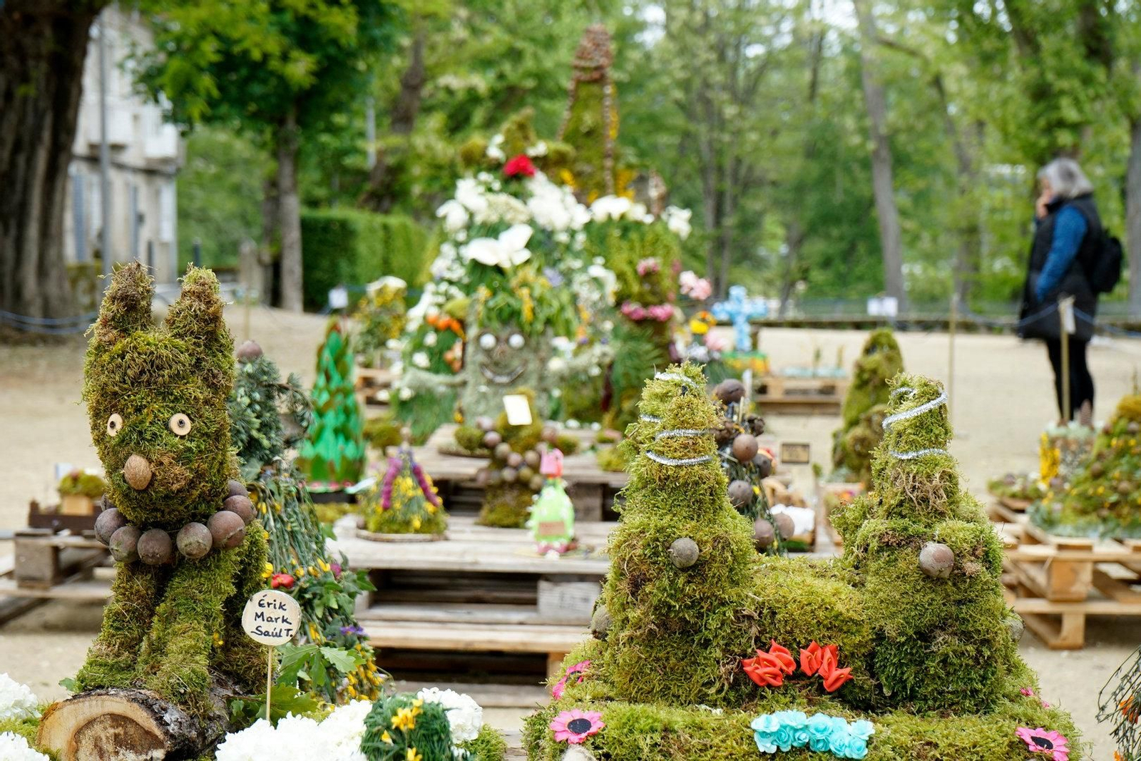 03.05.2025.Allariz.Exposición dos maios na Alameda.