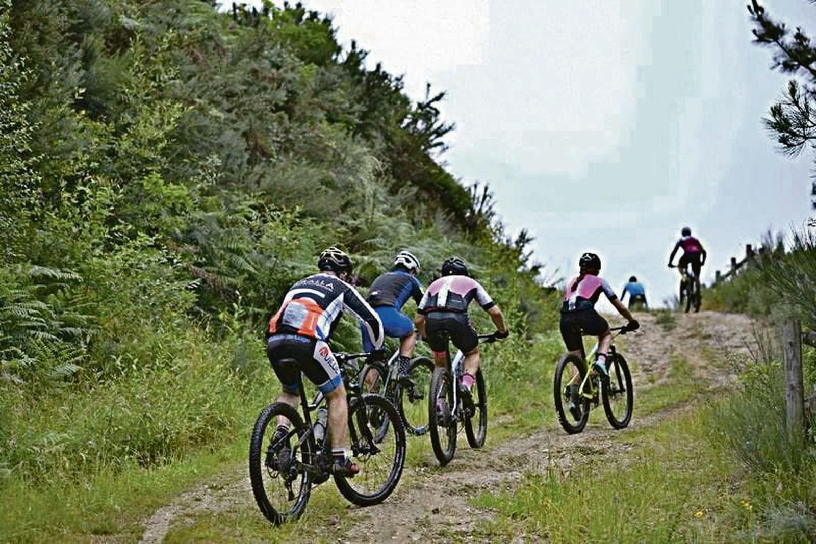 Varios de los competidores afrontan un terreno en subida.