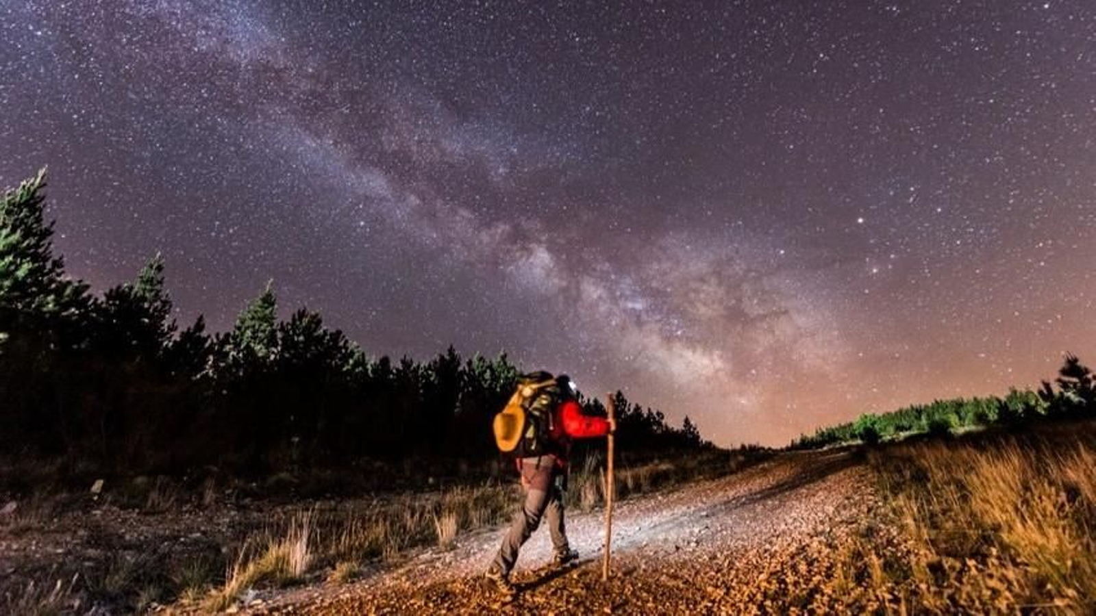 Una de las imágenes de la muestra