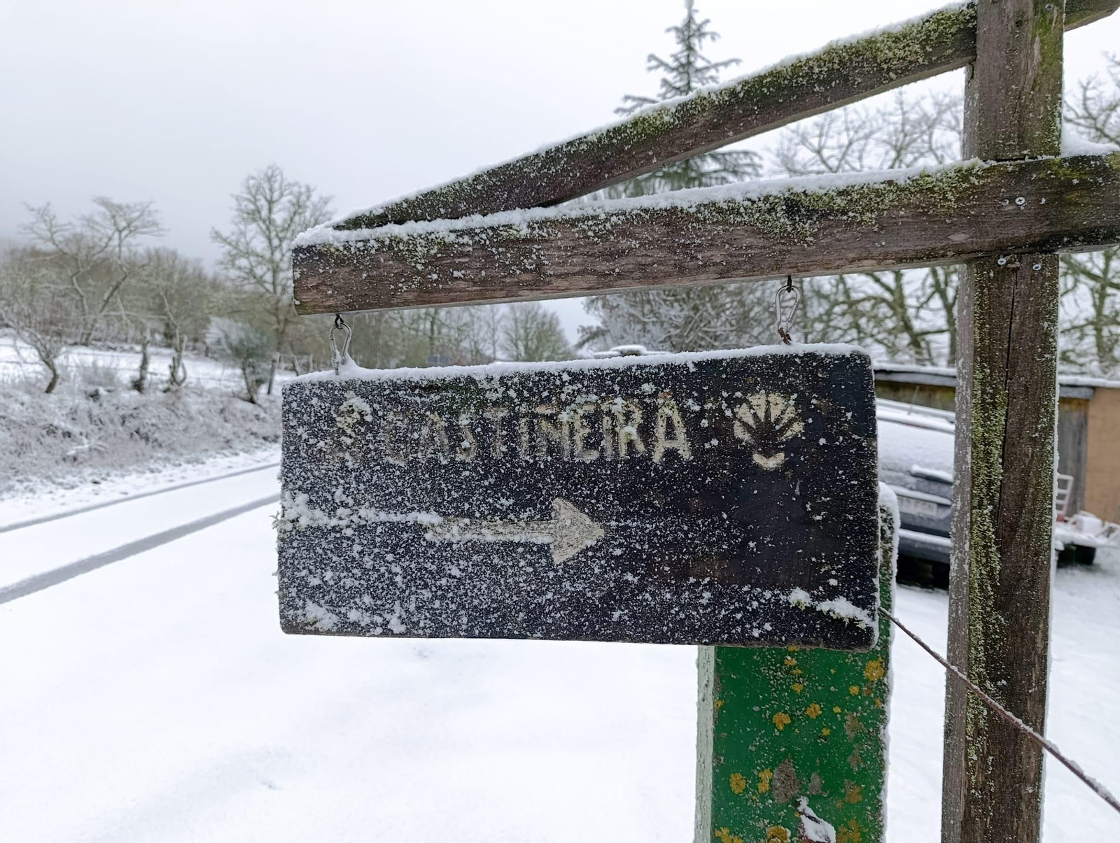 Galería | La borrasca Ingrid y la nieve pintan de blanco la provincia de Ourense, en imágenes