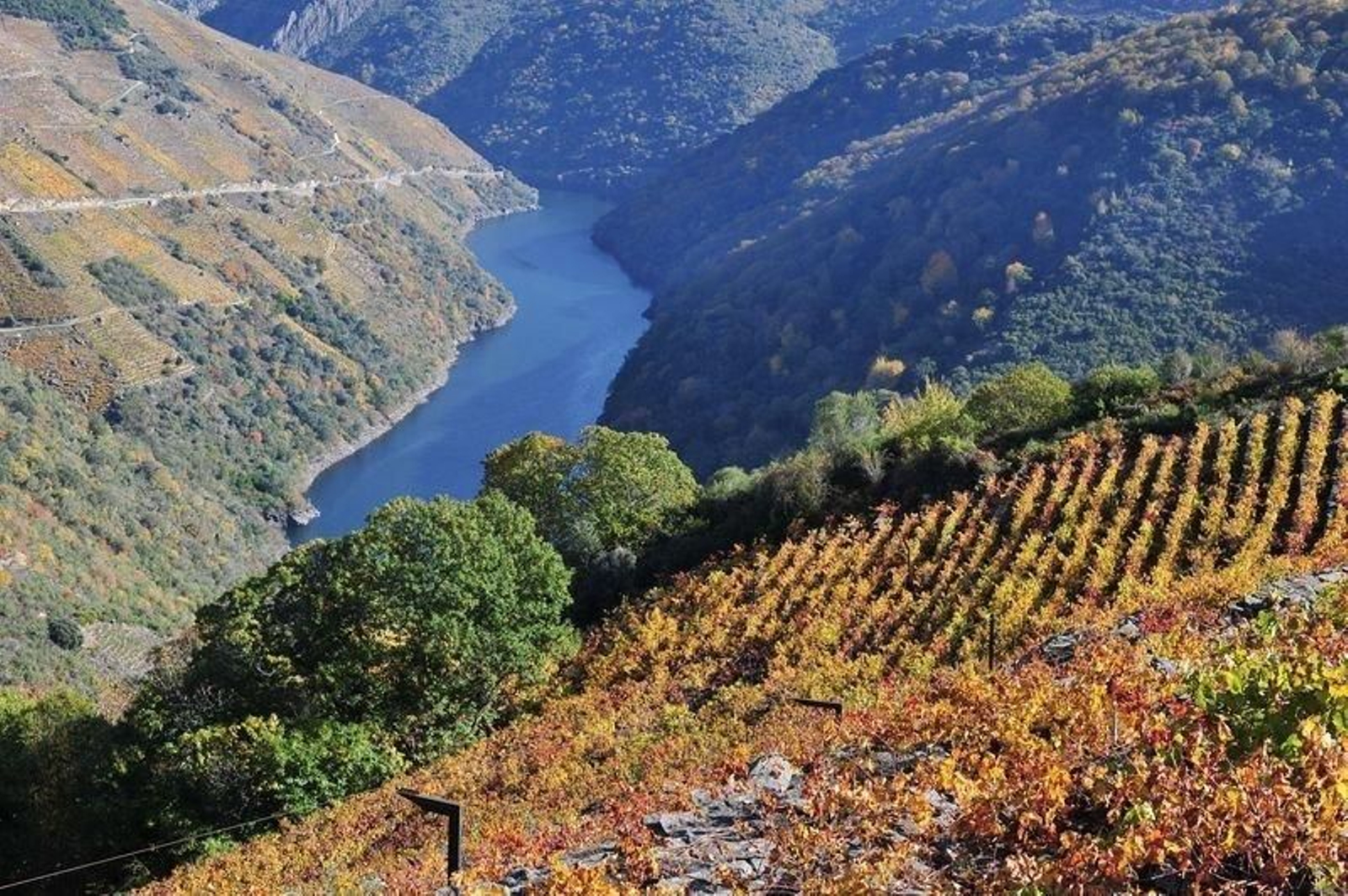 Ribeira Sacra 6