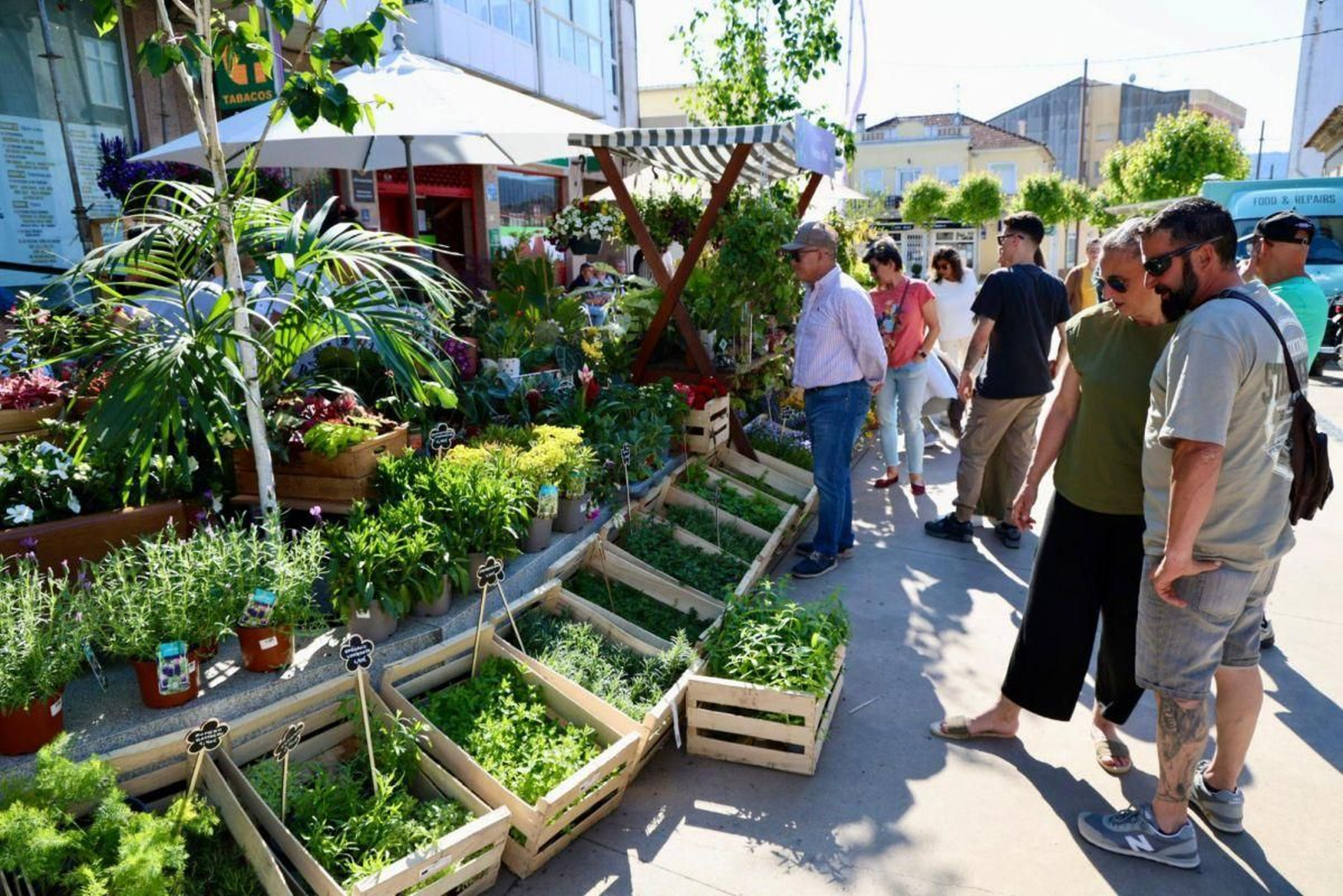 La feria se celebra el segundo fin de semana de mayo.