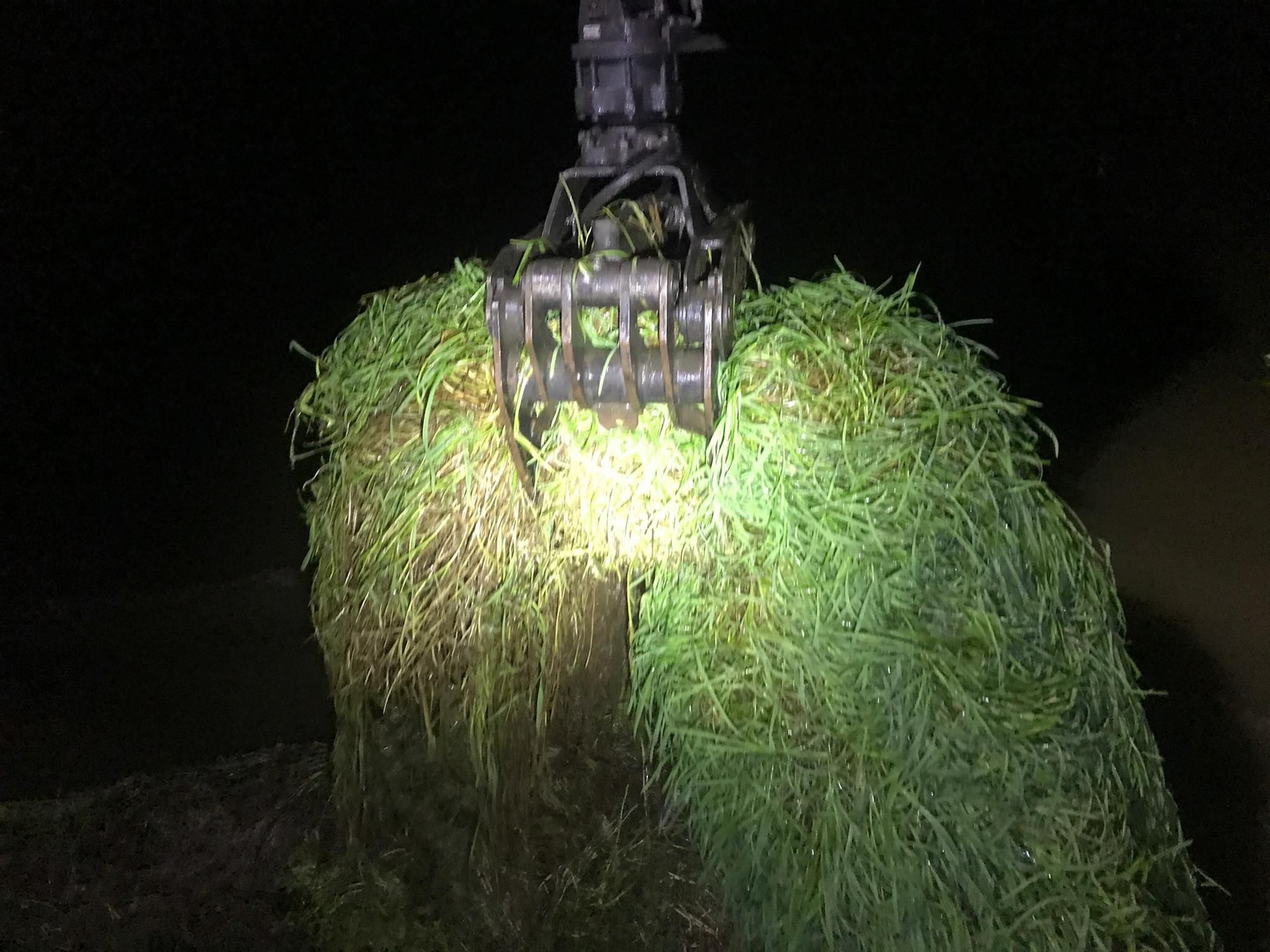 Daños de Fabien en Ourense