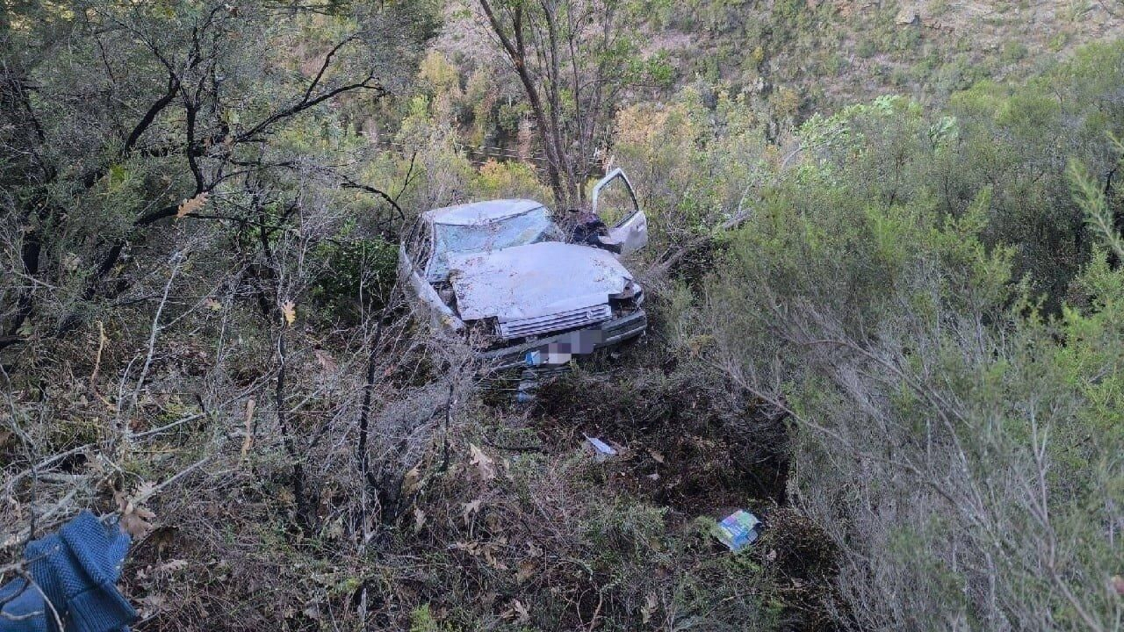 Estado en el que quedó el coche en el que viajaba el hombre tras caer por un terraplén en Lugo. // Guardia Civil