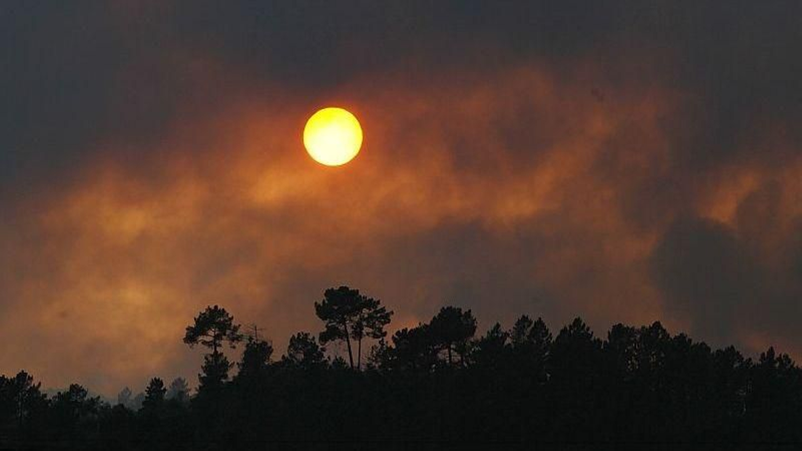 Incendio forestal que rodea Beade y los viñedos aledaños.