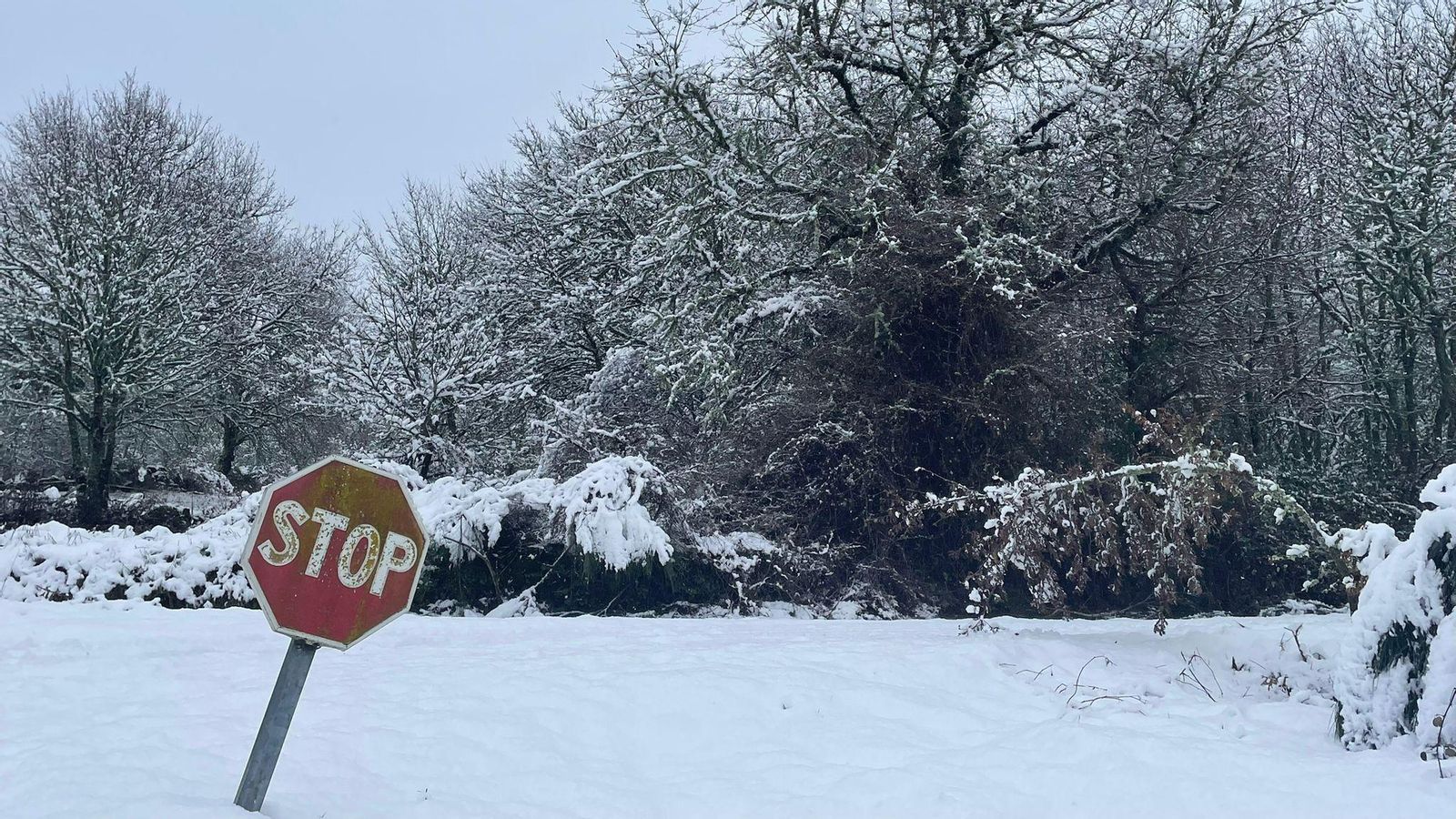 Sobradelo (Carballeda de Valdeorras).