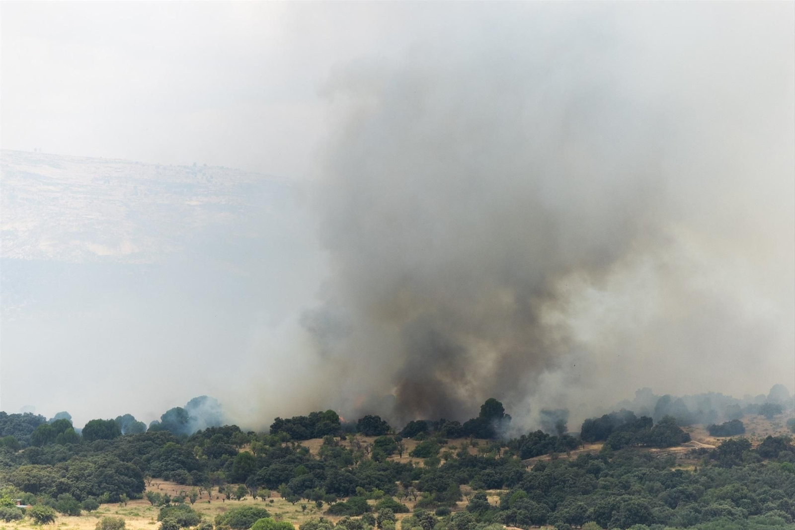 Galería | Madrid vive el incendio forestal más grande de su historia bajo un gran manto de humo