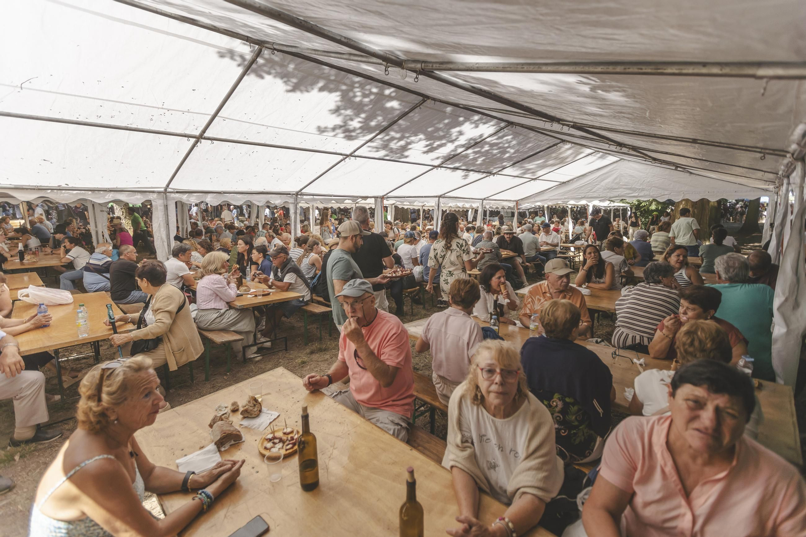 Galería | O Carballiño vuelve a disfrutar un año más de la Festa do Pulpo