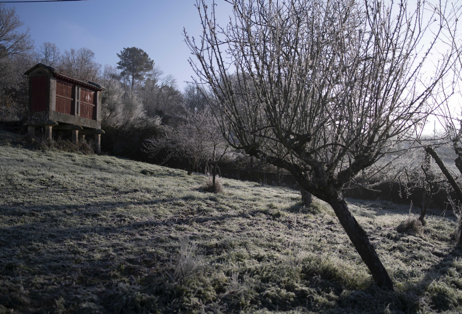 Estampas congeladas de Esgos.