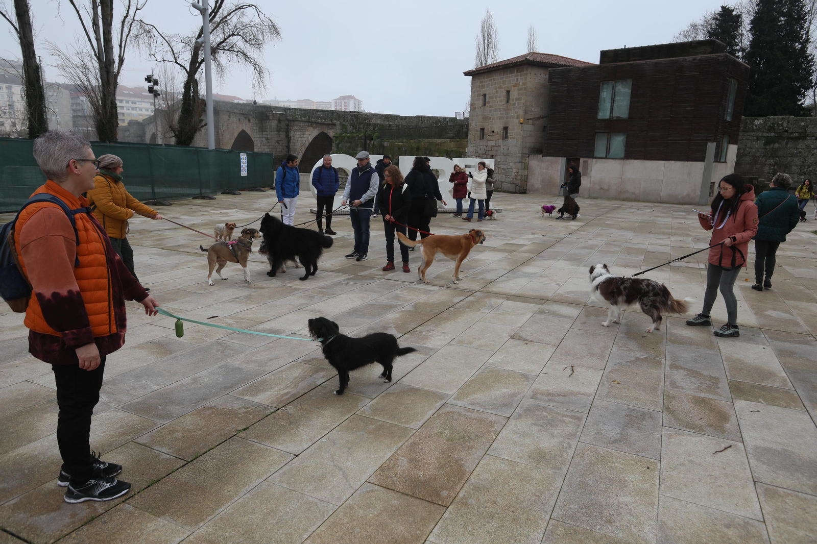 Andaina perruna por la ciudad. José Paz