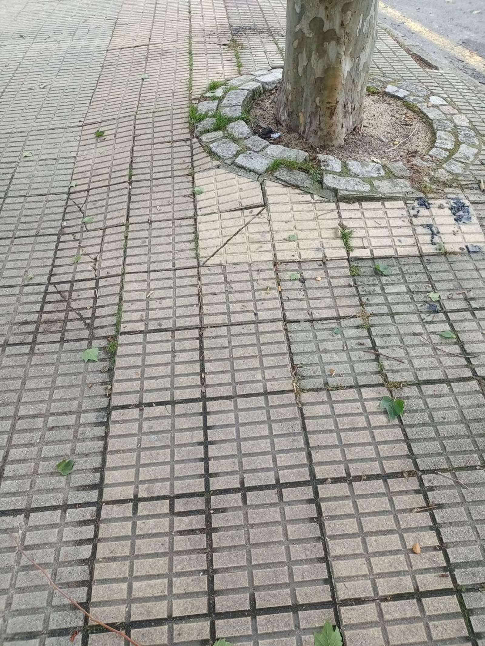 Trabajo sin terminar