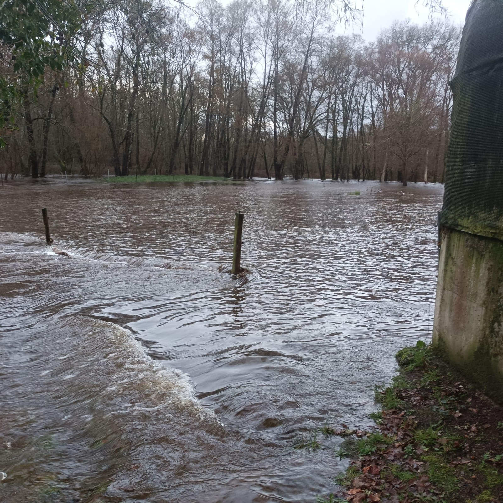 Galería | Las lluvias causan desbordamientos en los ríos de la provincia de Ourense