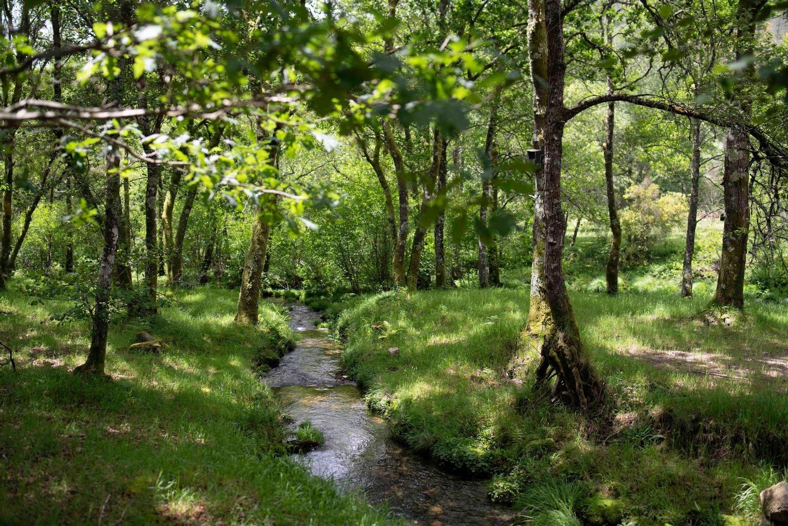 El área fluvial de Pacín