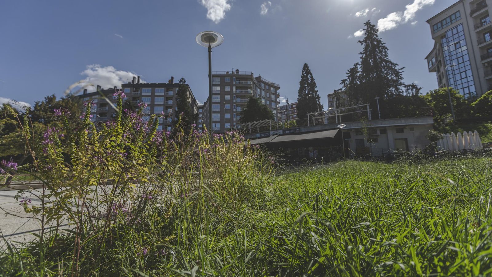 Parque Barbaña