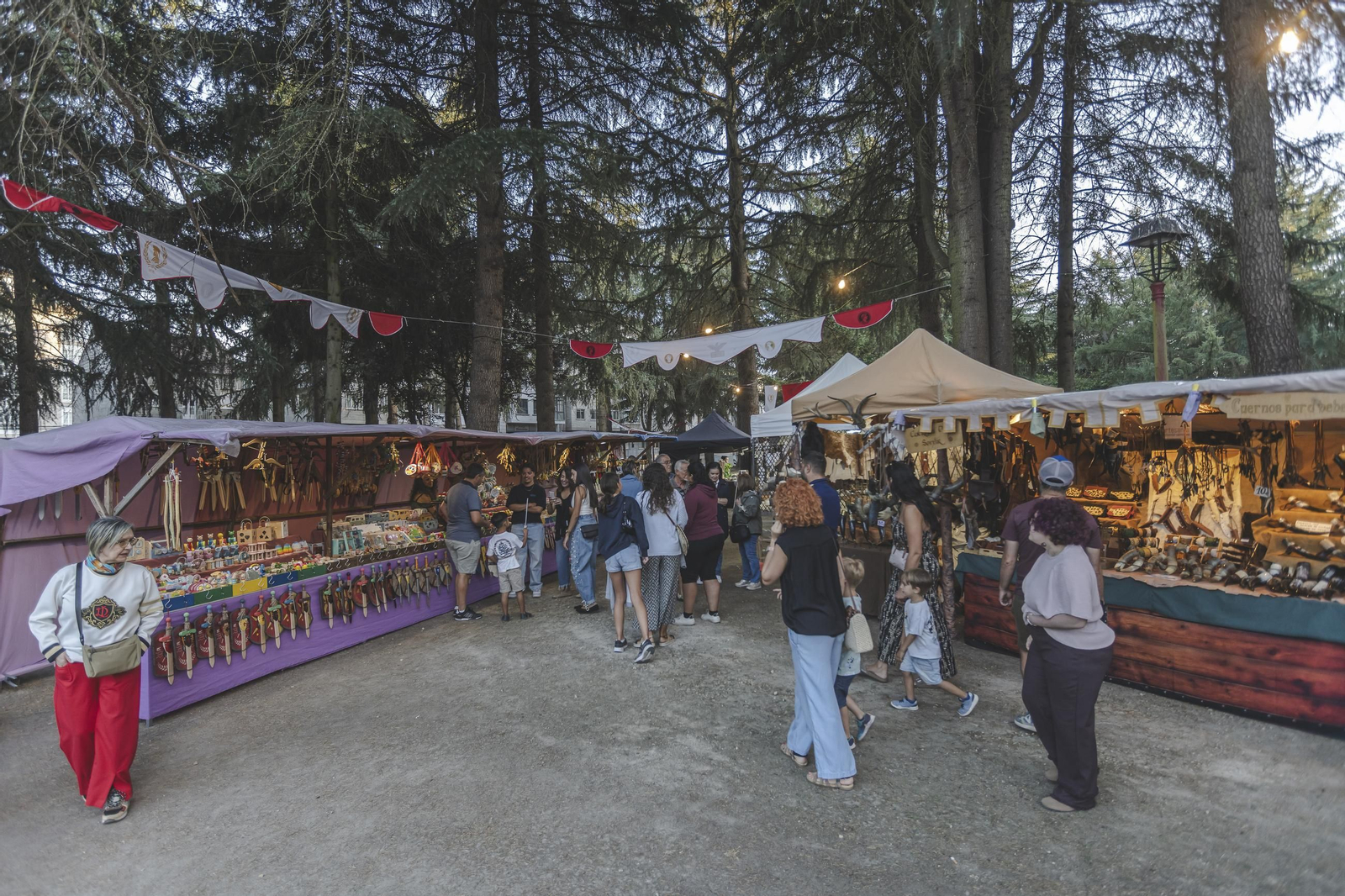 Galería | El fuego sagrado inicia el Esquecemento en Xinzo de Limia