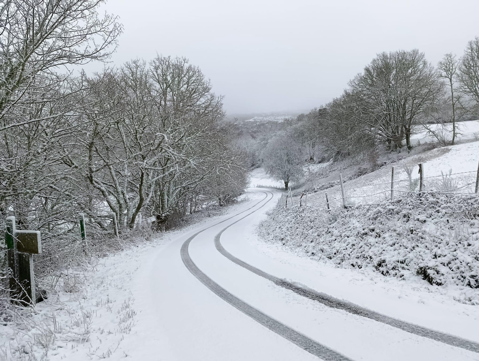 Galería | La borrasca Ingrid y la nieve pintan de blanco la provincia de Ourense, en imágenes