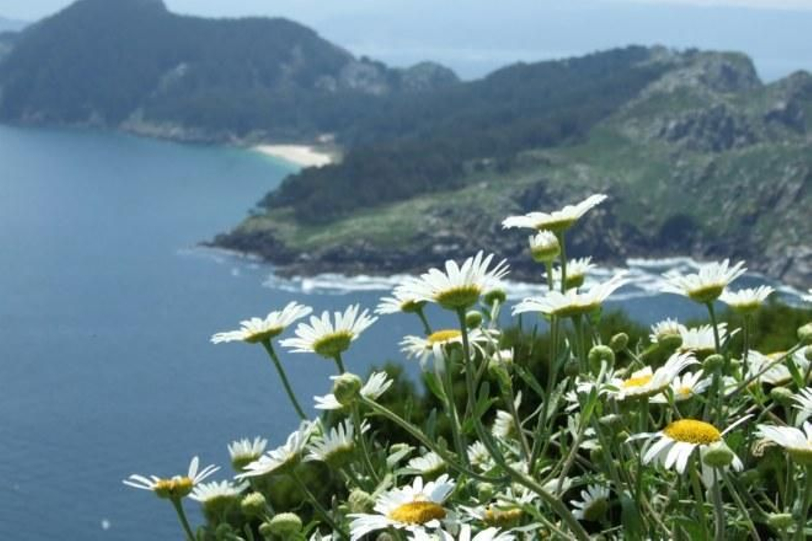 OSCAR BARTOLOMÉ FERNÁNDEZ