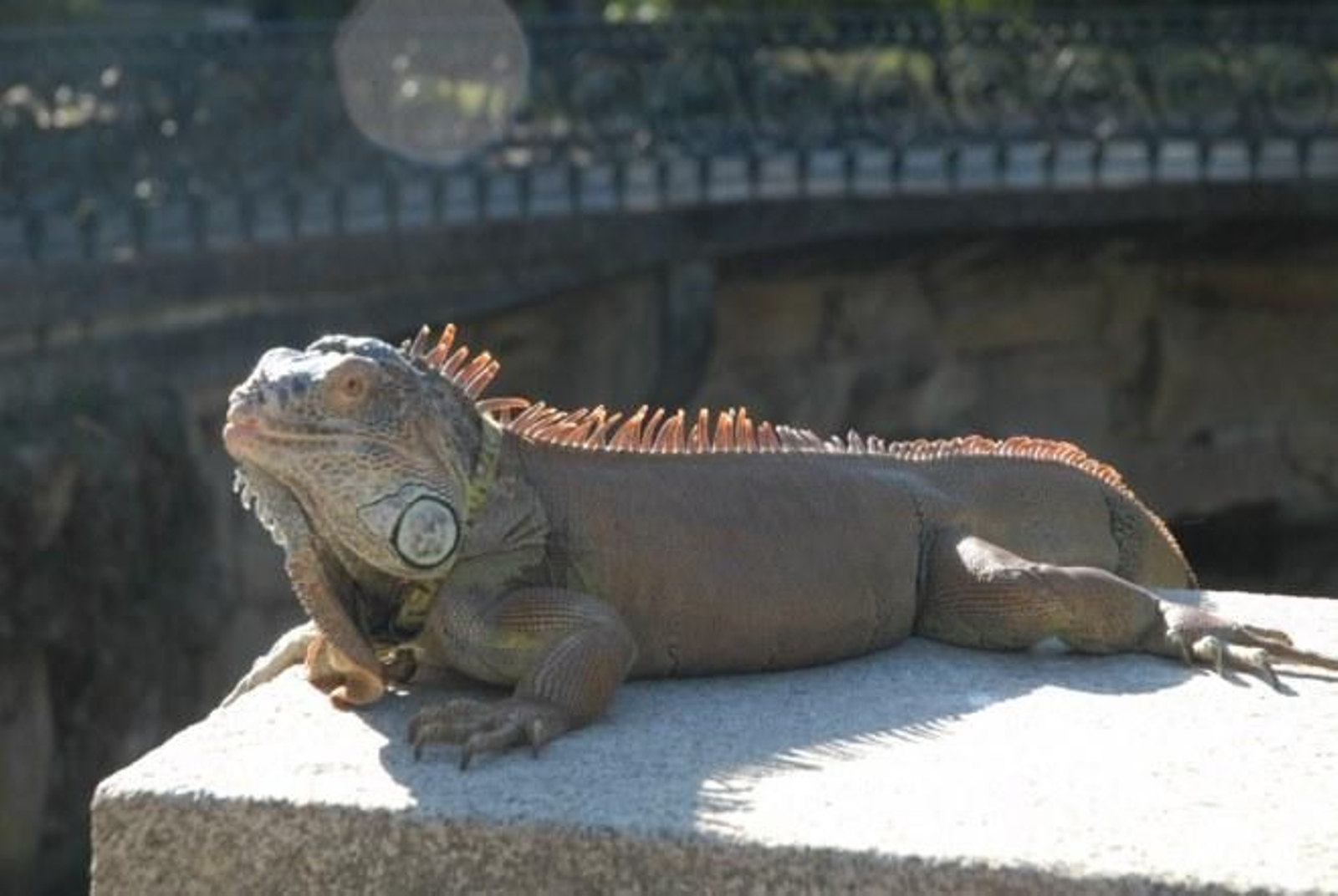 Eugenio Alvarez Estevez