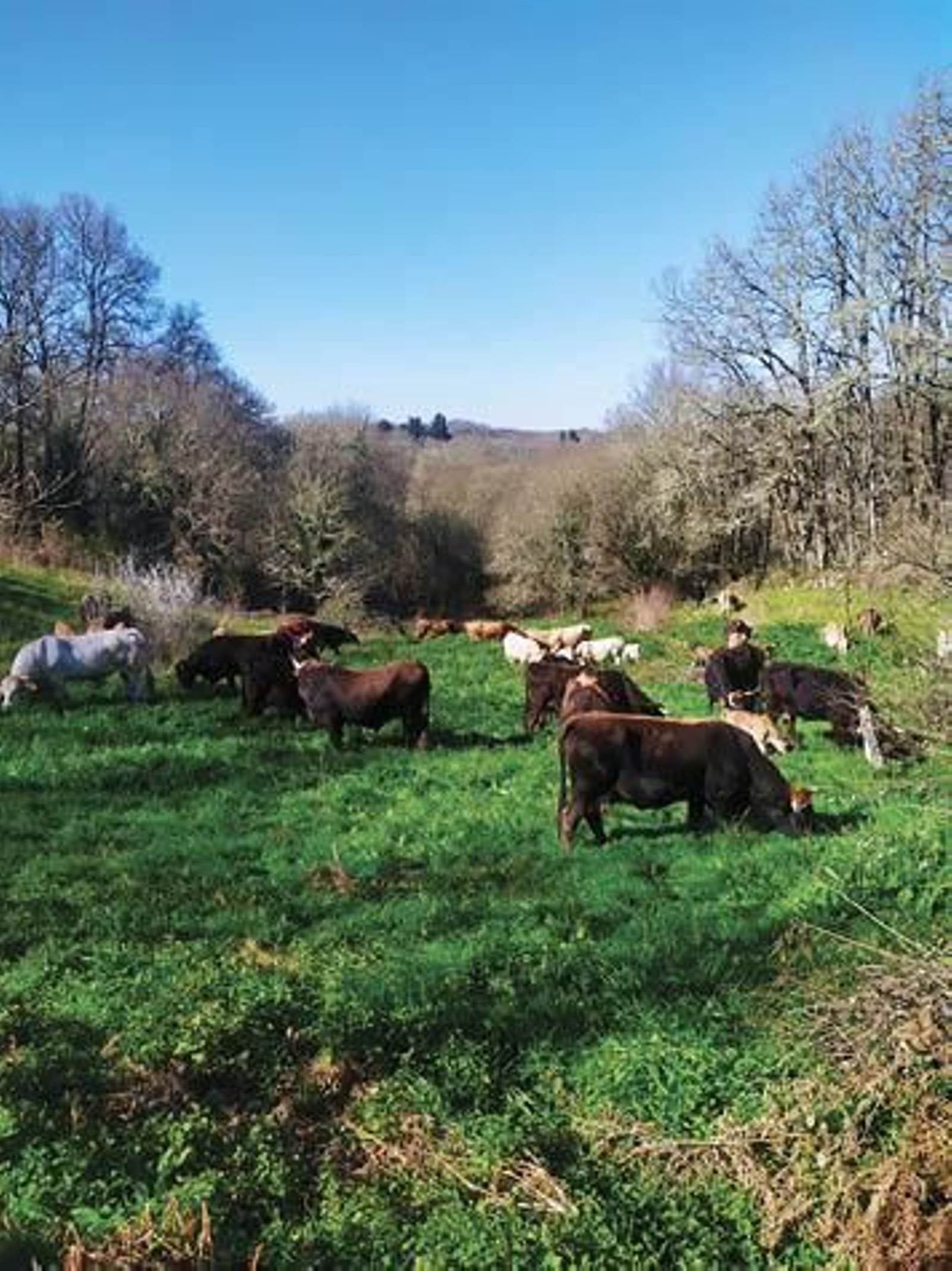 WhatsAppImage20210718at19.02.29.jpeg_web