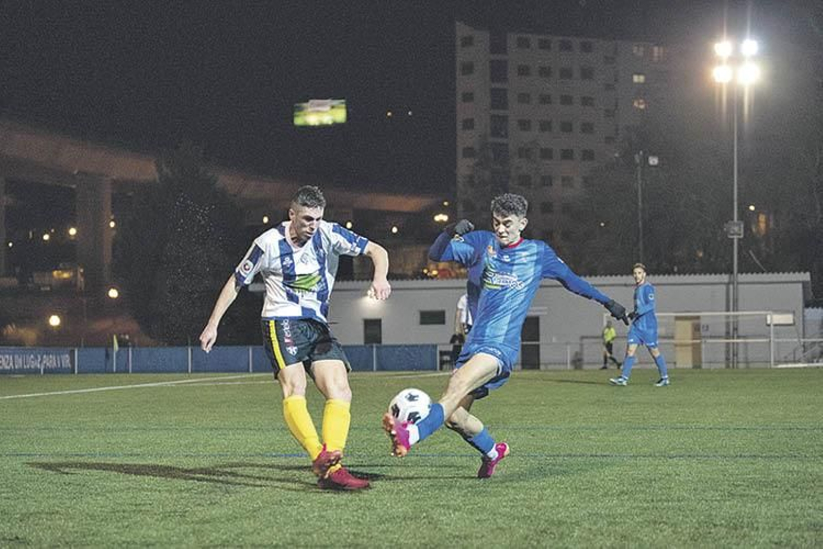 El azulón José Ramón (ÓSCAR PINAL)