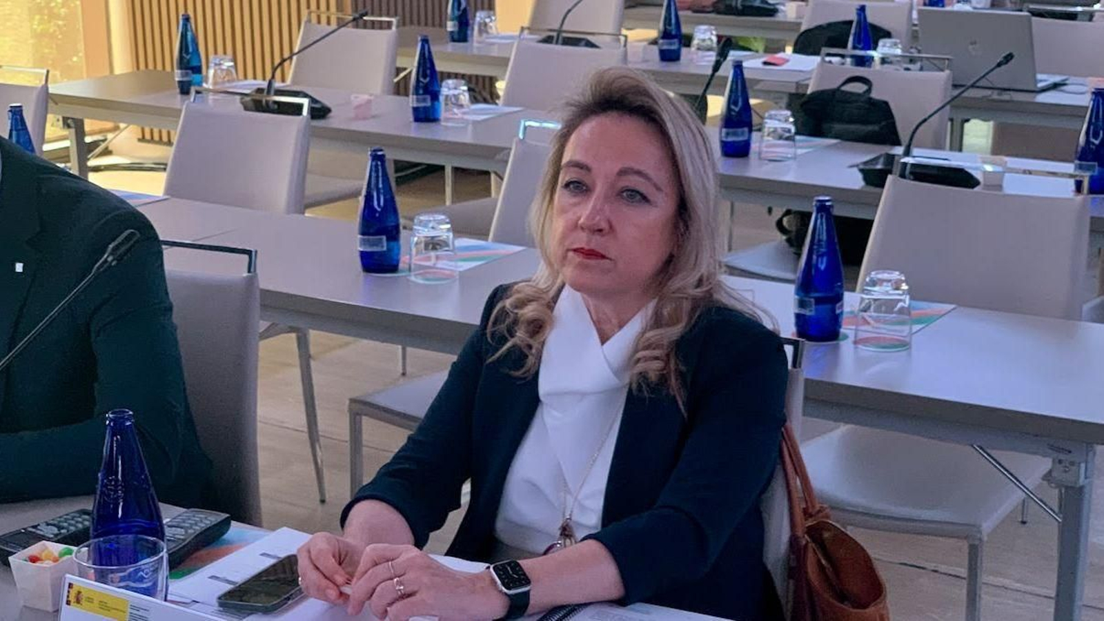 La directora general de Relaciones Institucionales durante el último pleno del VIII Mandato del CGCEE