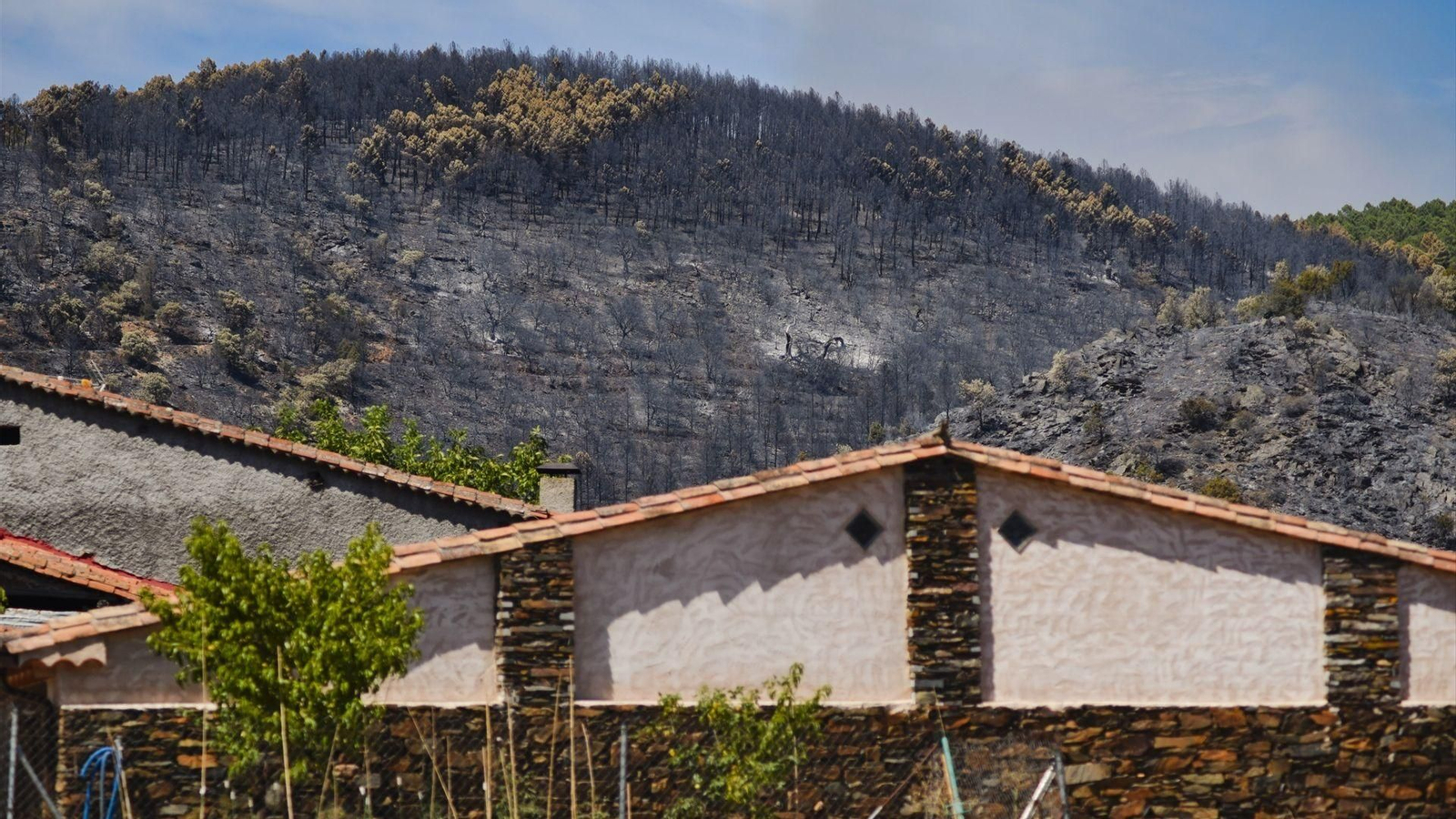 El fuego de La Mierla (Guadalajara), ya ha calcinado al rededor de 29.000 hectáreas.