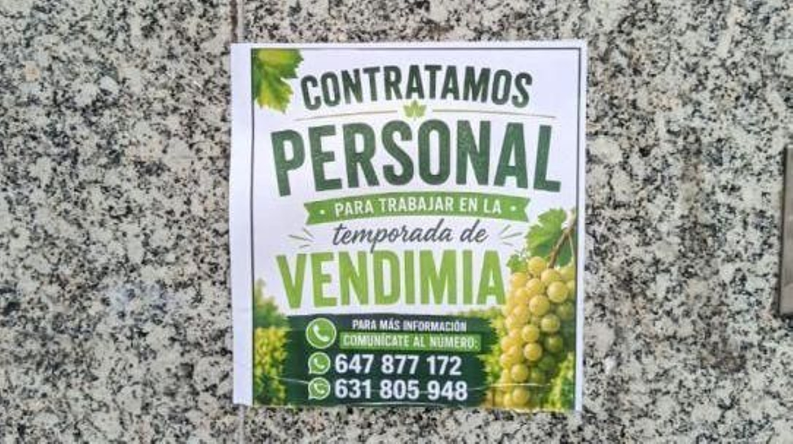 Carteles que llenan la ciudad de Ourense.