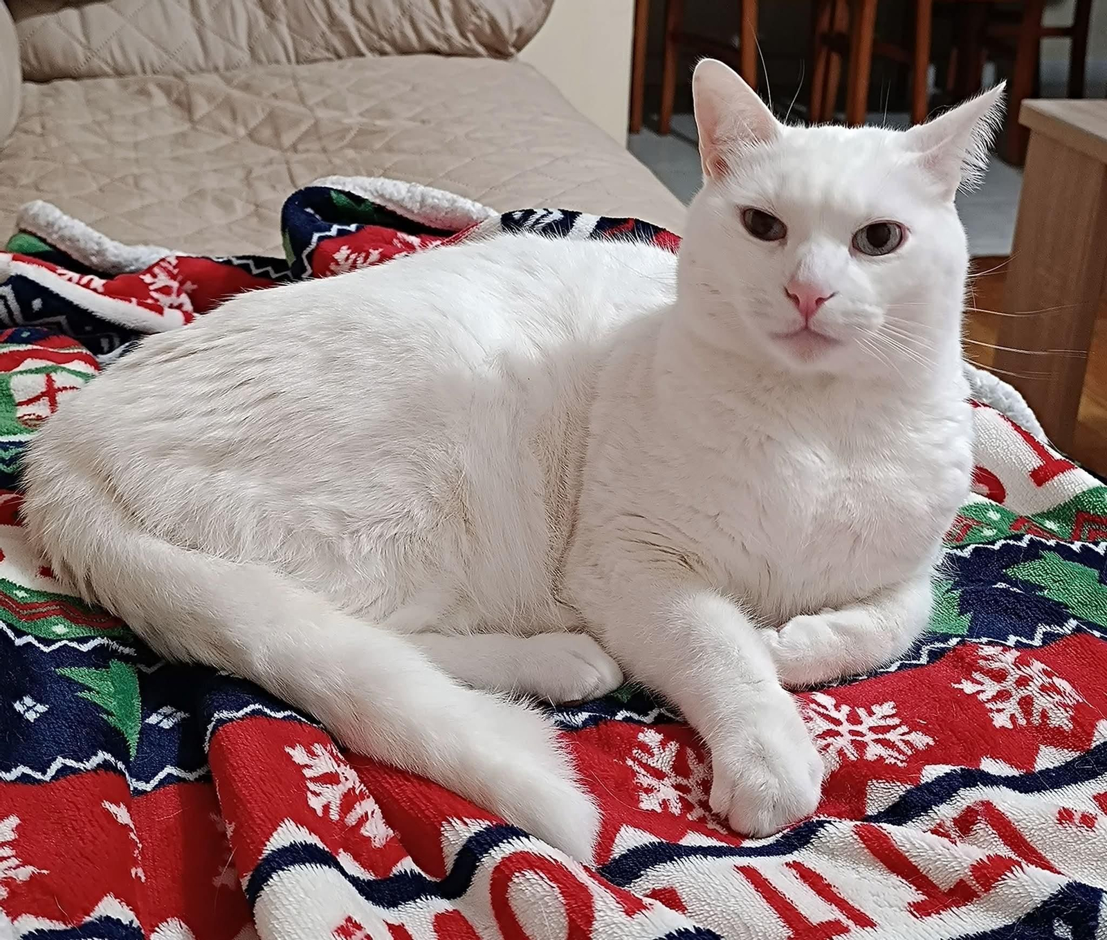 Olaf