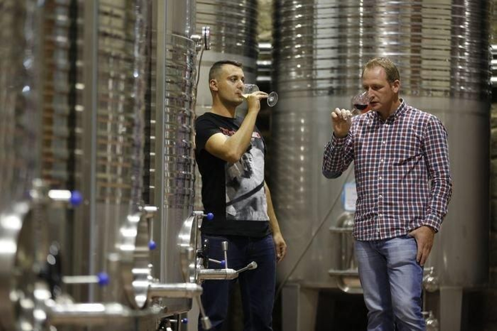 Luis Manuel Bocija y Pablo Estévez prueban vinos en la bodega Priorato de Razamonde.