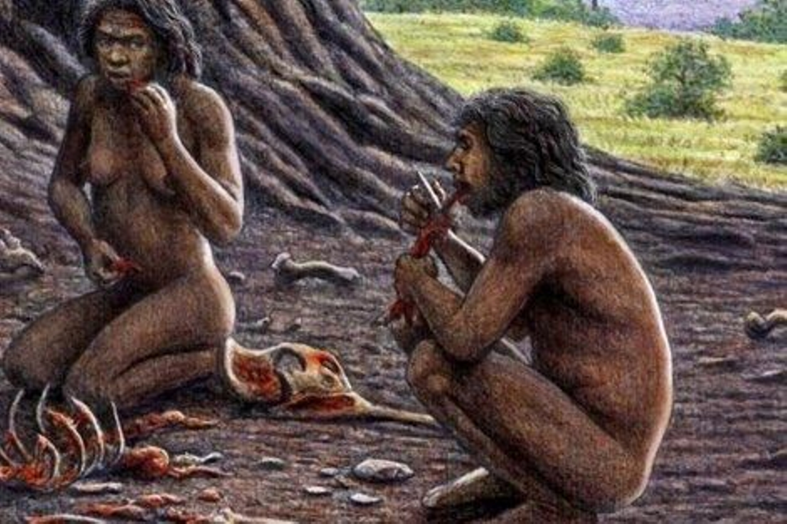 diestrosatapuerca