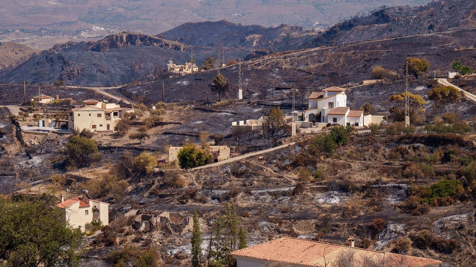 Imágenes de la zona afectada por el incendio de Los Gallardos, en Almería.