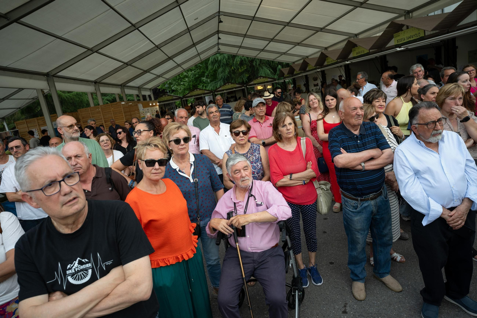 Galería | Valdeorras disfruta con la XXVII Festa do Viño